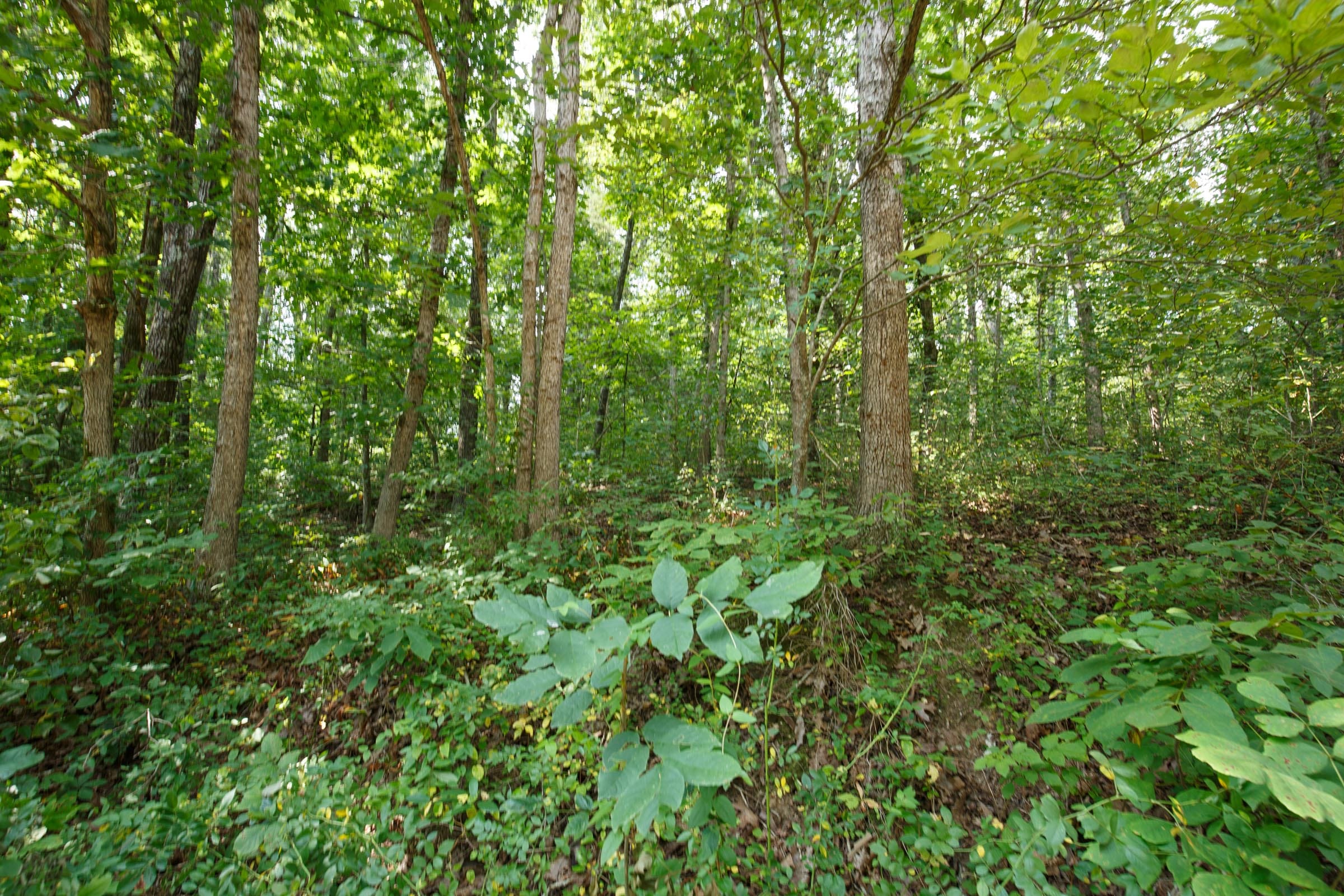 Spring Lake Plat 2 Tract 55 photo 1