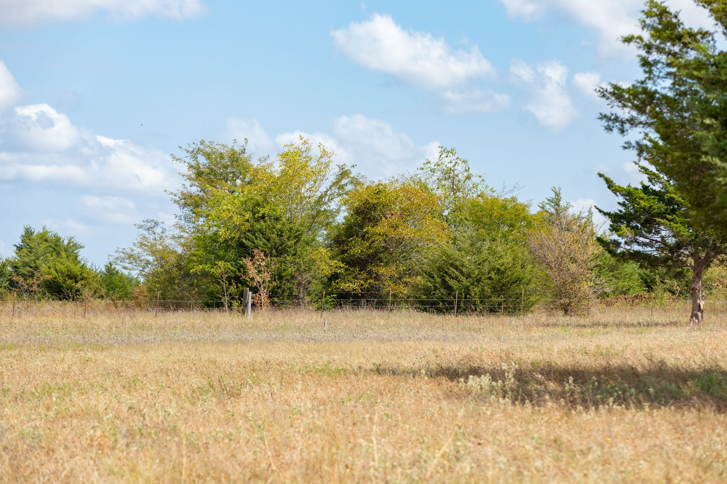 Wildflower Reserve Tract 6 photo 1
