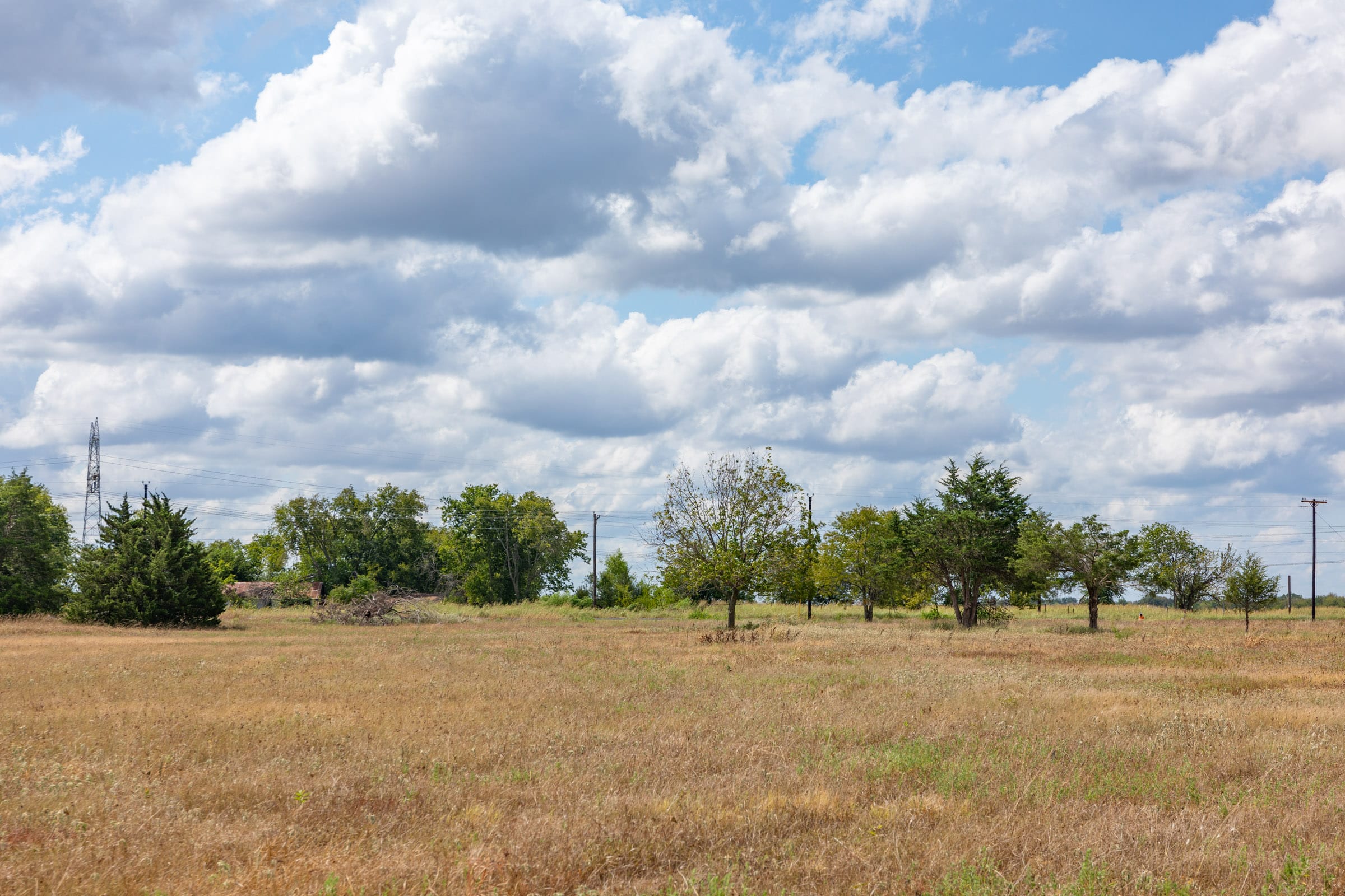 Wildflower Reserve Tract 6 photo 9