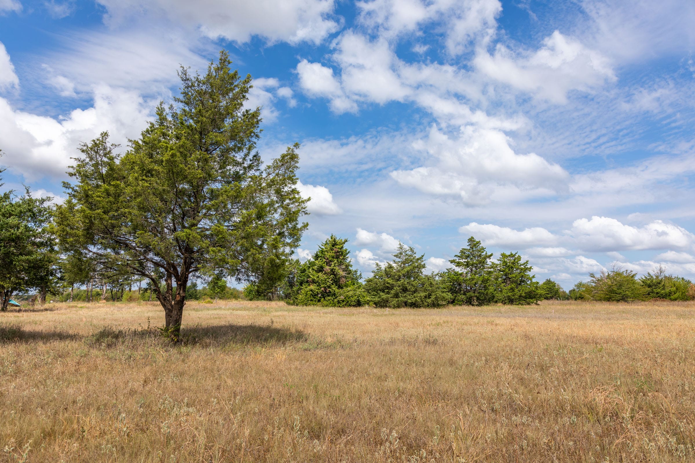 Wildflower Reserve Tract 6 photo 10