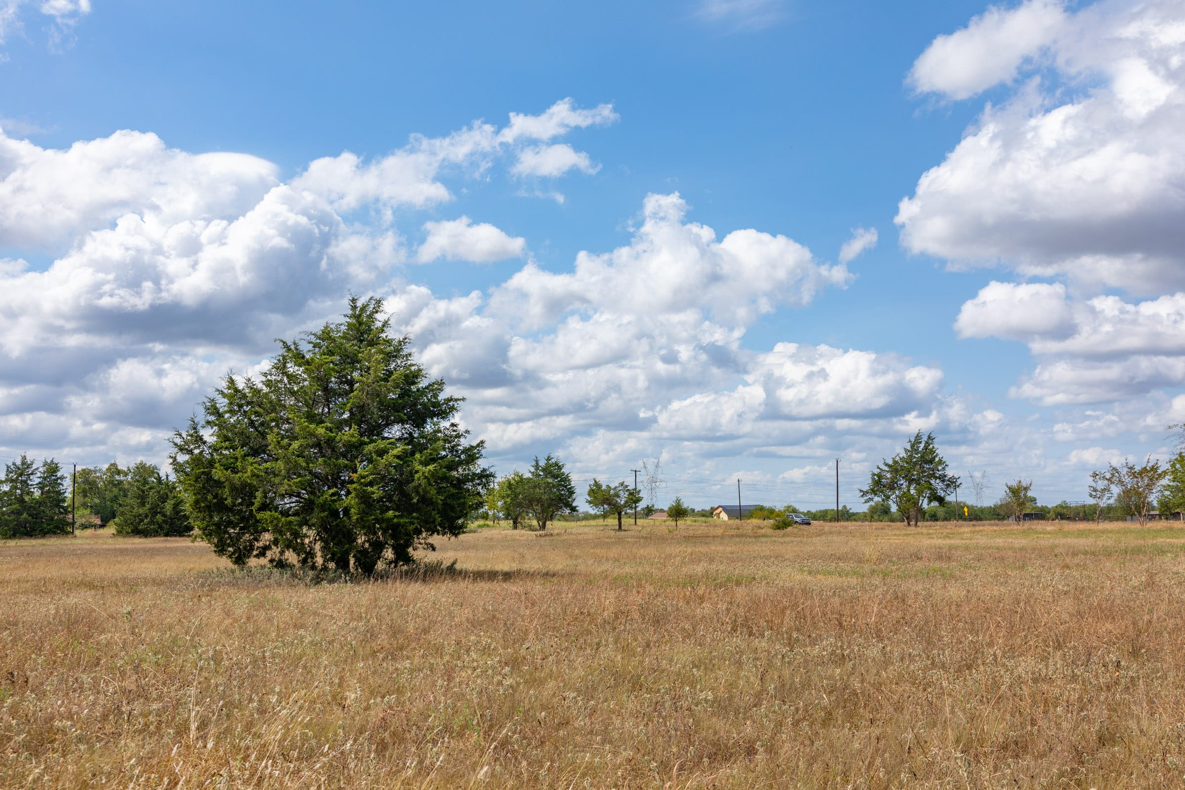 Wildflower Reserve Tract 6 photo 8