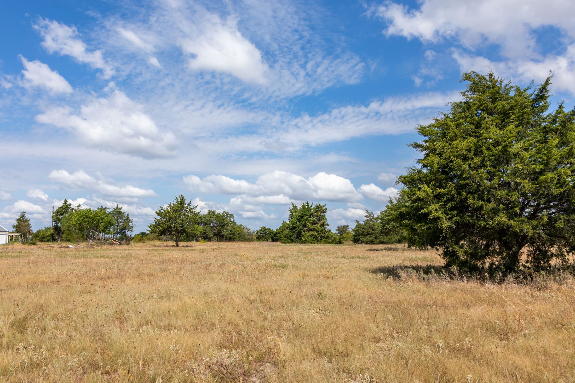 Wildflower Reserve Tract 6 photo 11