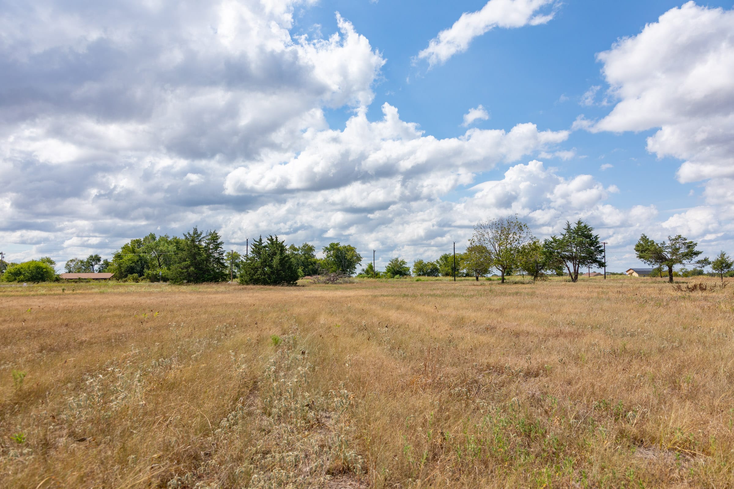 Wildflower Reserve Tract 6 photo 5