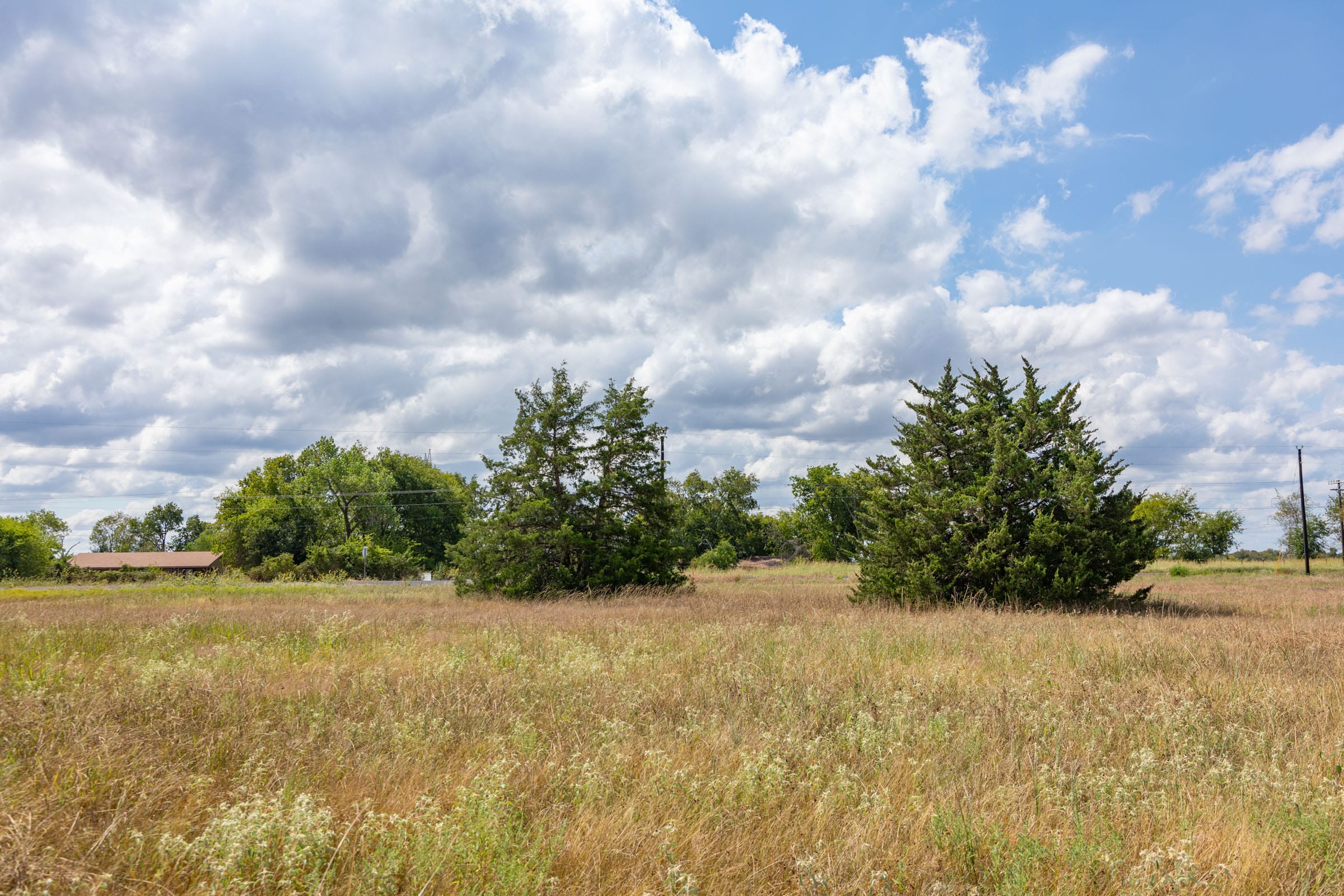 Wildflower Reserve Tract 6 photo 13