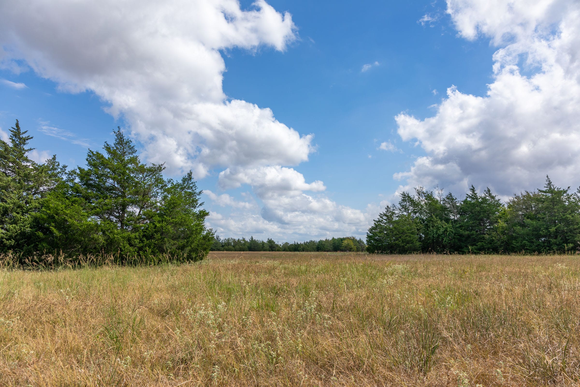 Wildflower Reserve Tract 6 photo 14