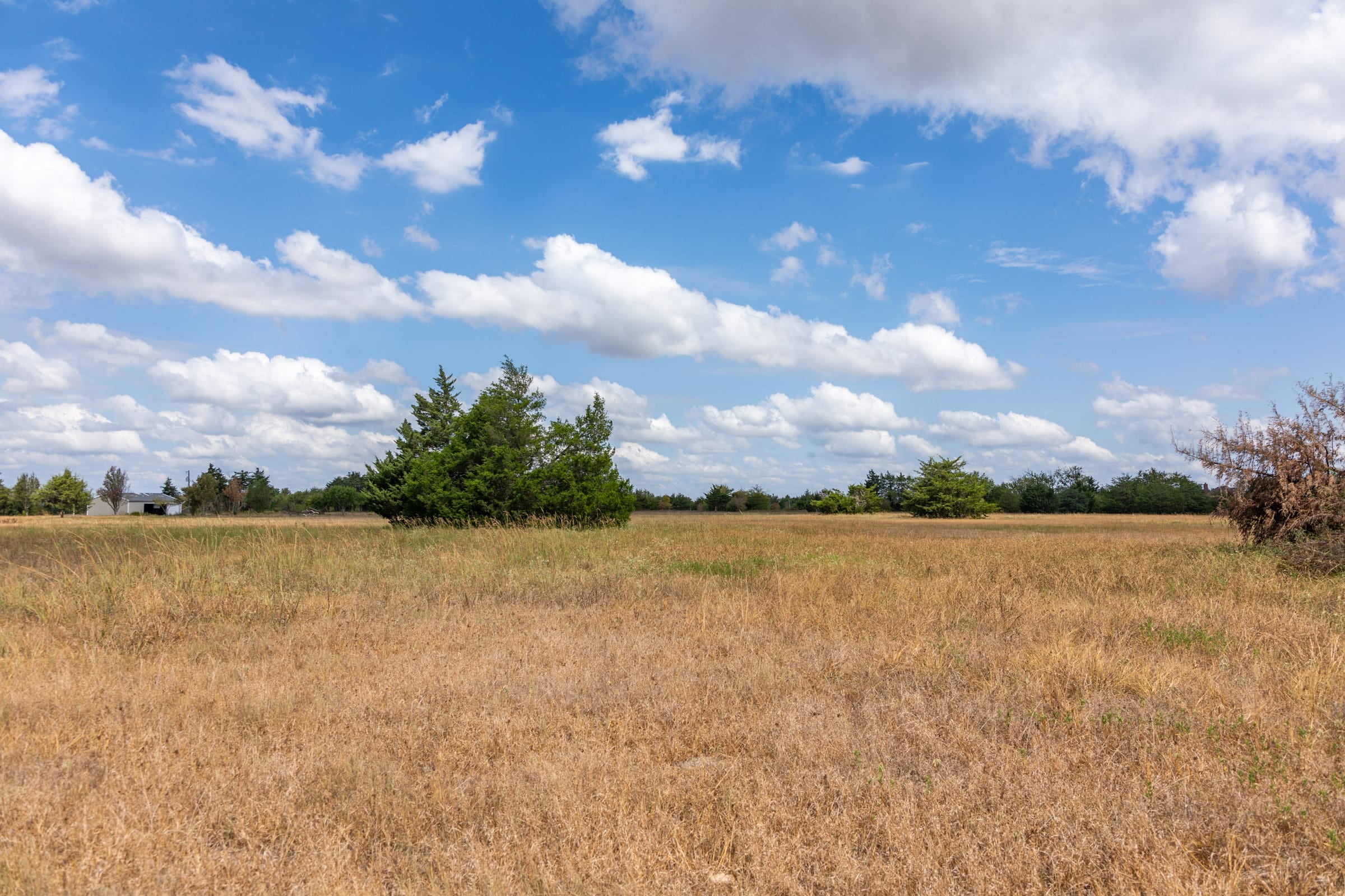 Wildflower Reserve Tract 6 photo 17