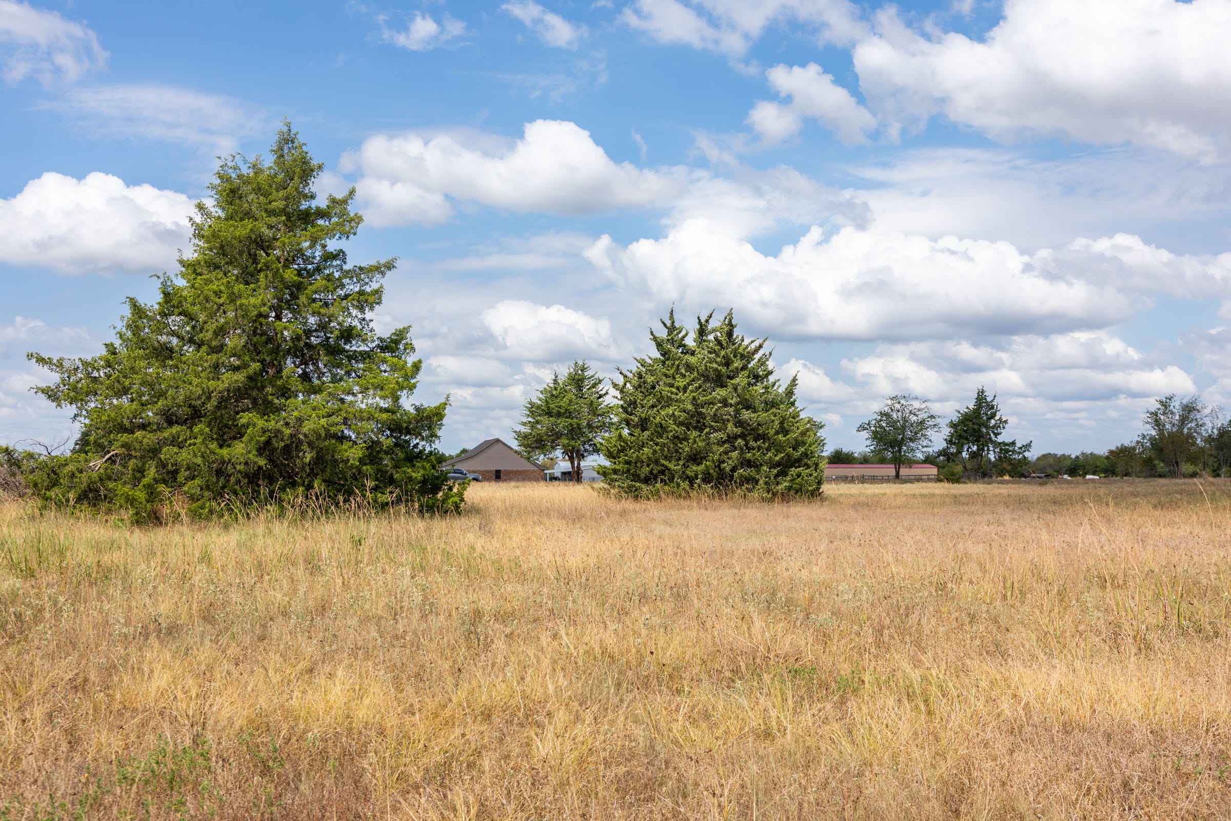 Wildflower Reserve Tract 6 photo 16
