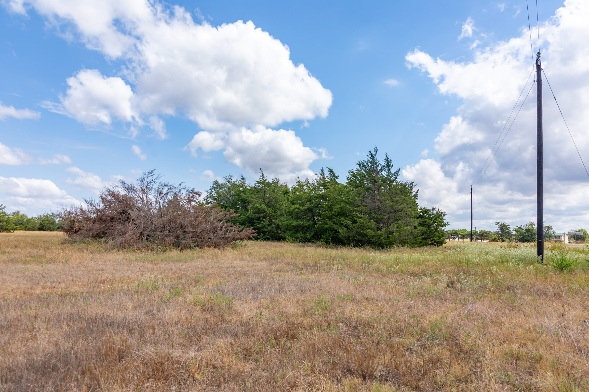 Wildflower Reserve Tract 6 photo 20