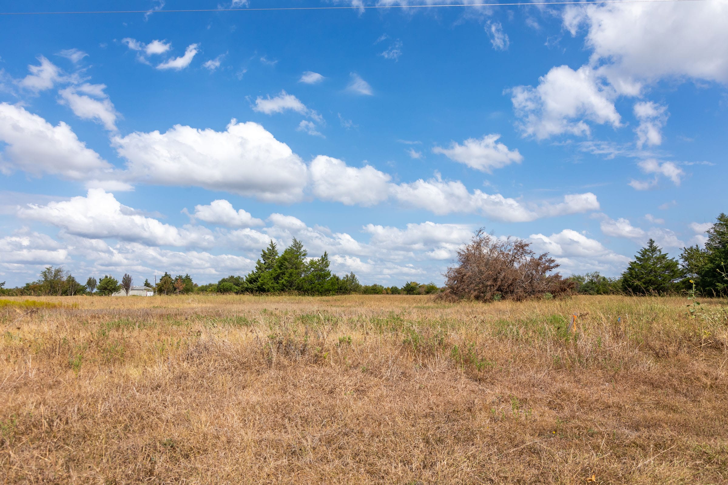 Wildflower Reserve Tract 6 photo 7
