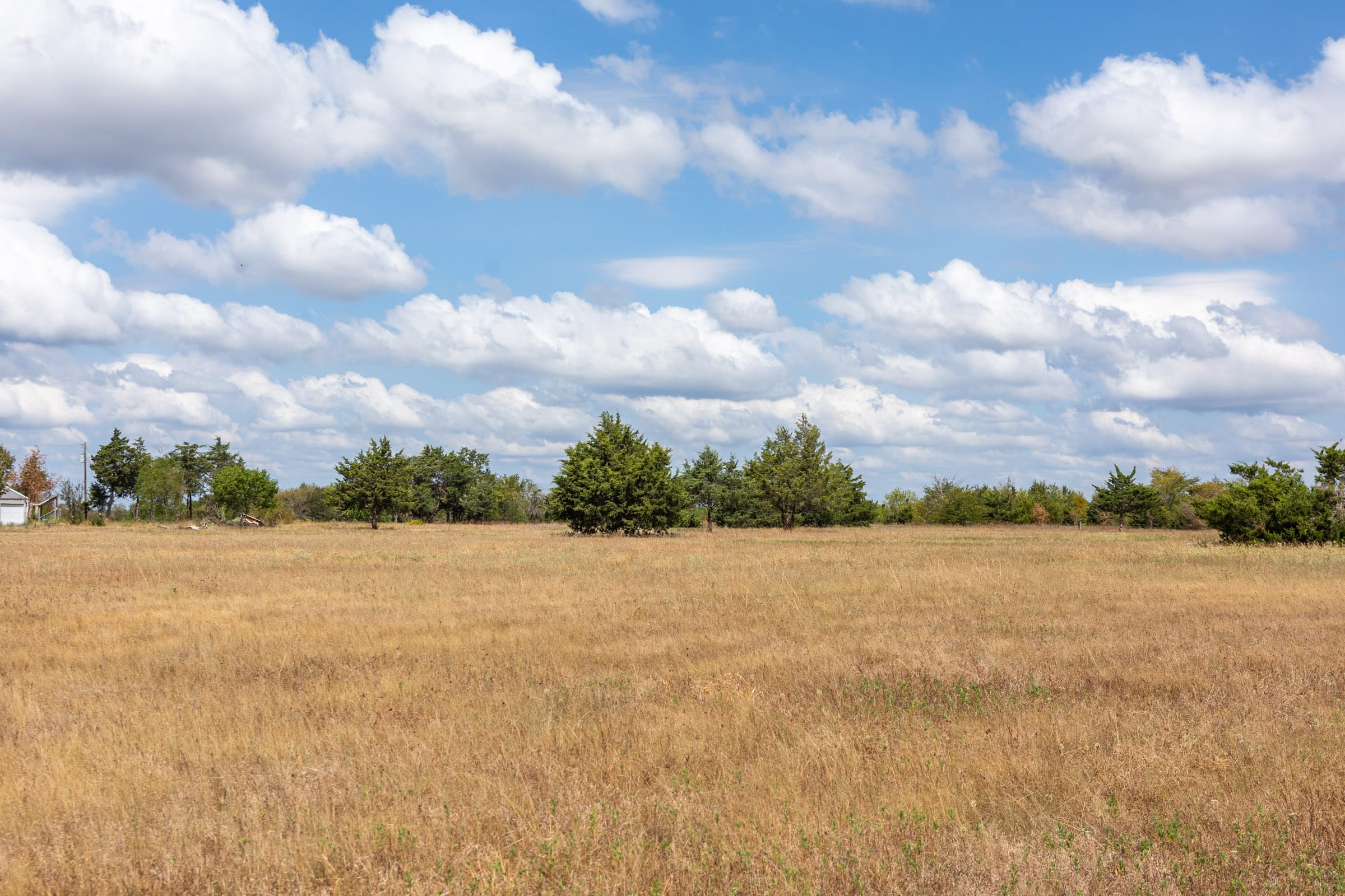 Wildflower Reserve Tract 6 photo 19