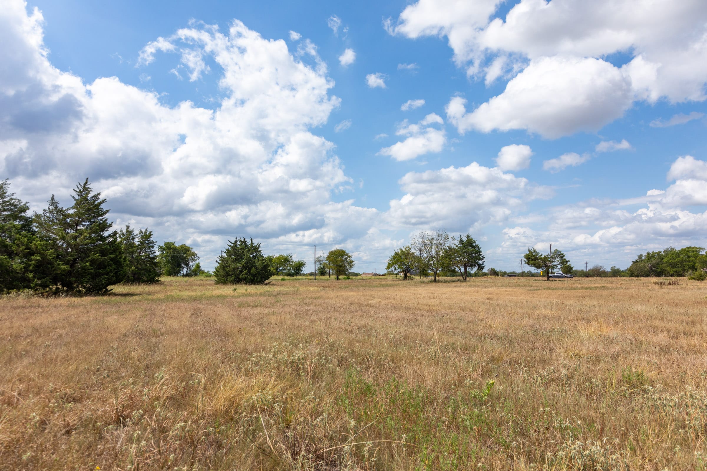 Wildflower Reserve Tract 6 photo 4
