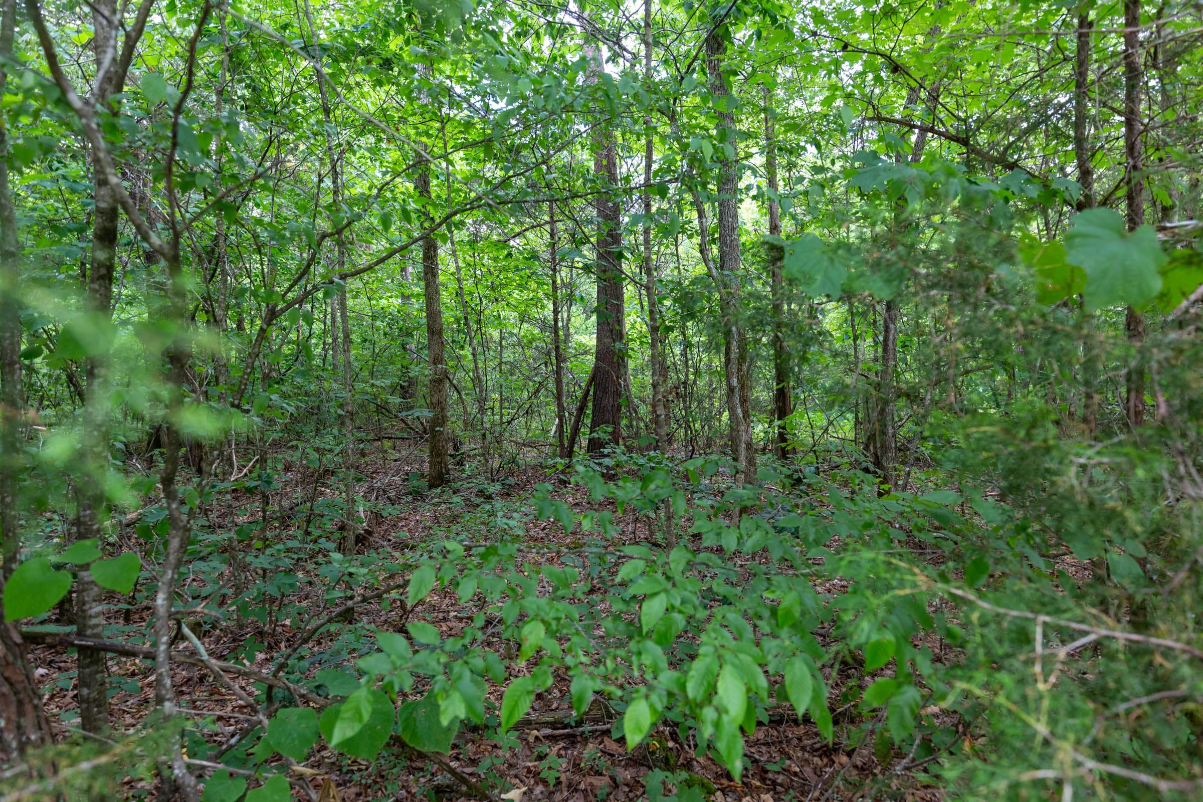 Tucker Hollow Tract 3 photo 10