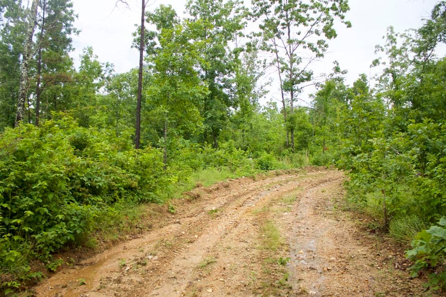 Thunder Mountain Ranch Tract 49 photo 1
