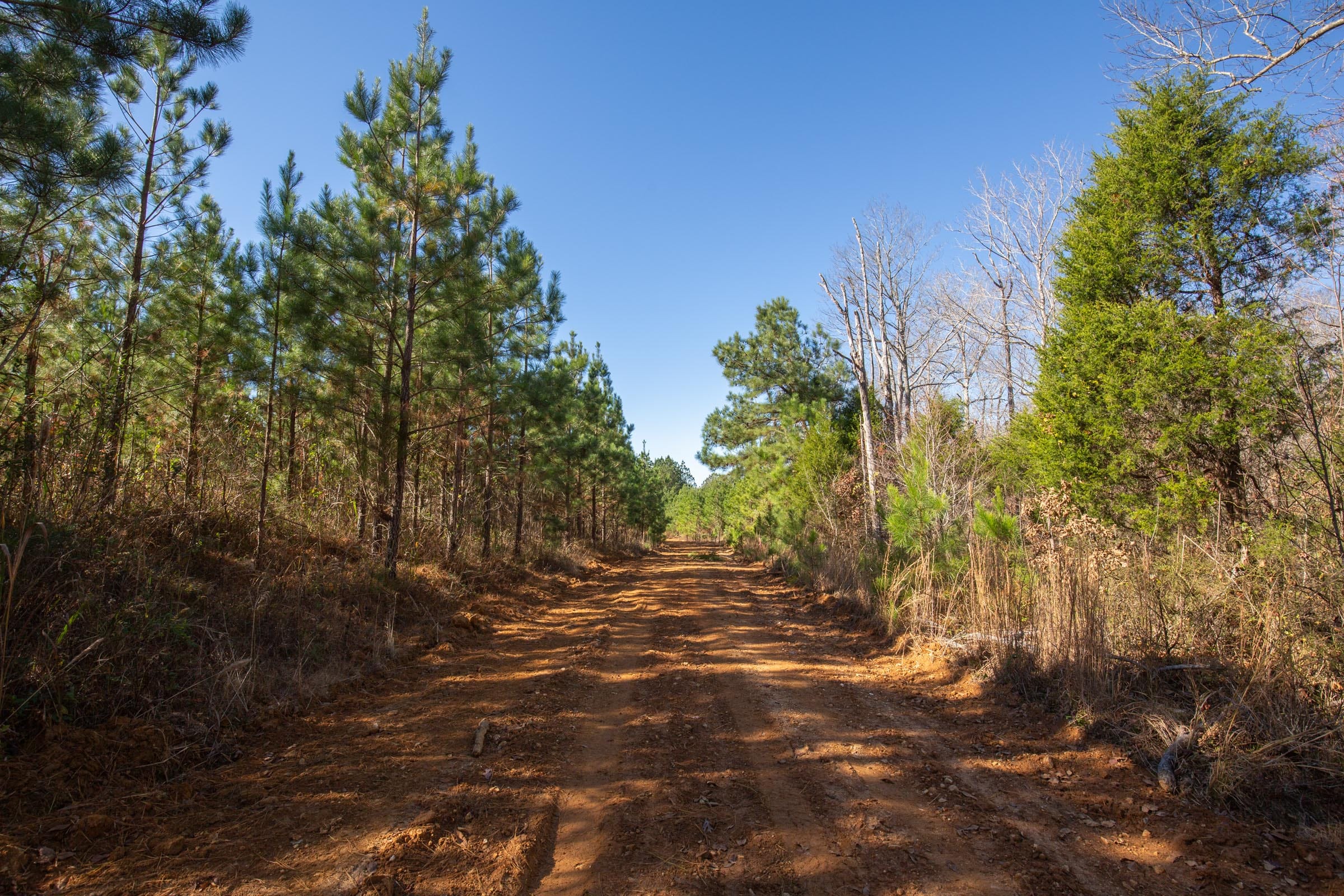 Pine Ridge Tract 4 photo 1