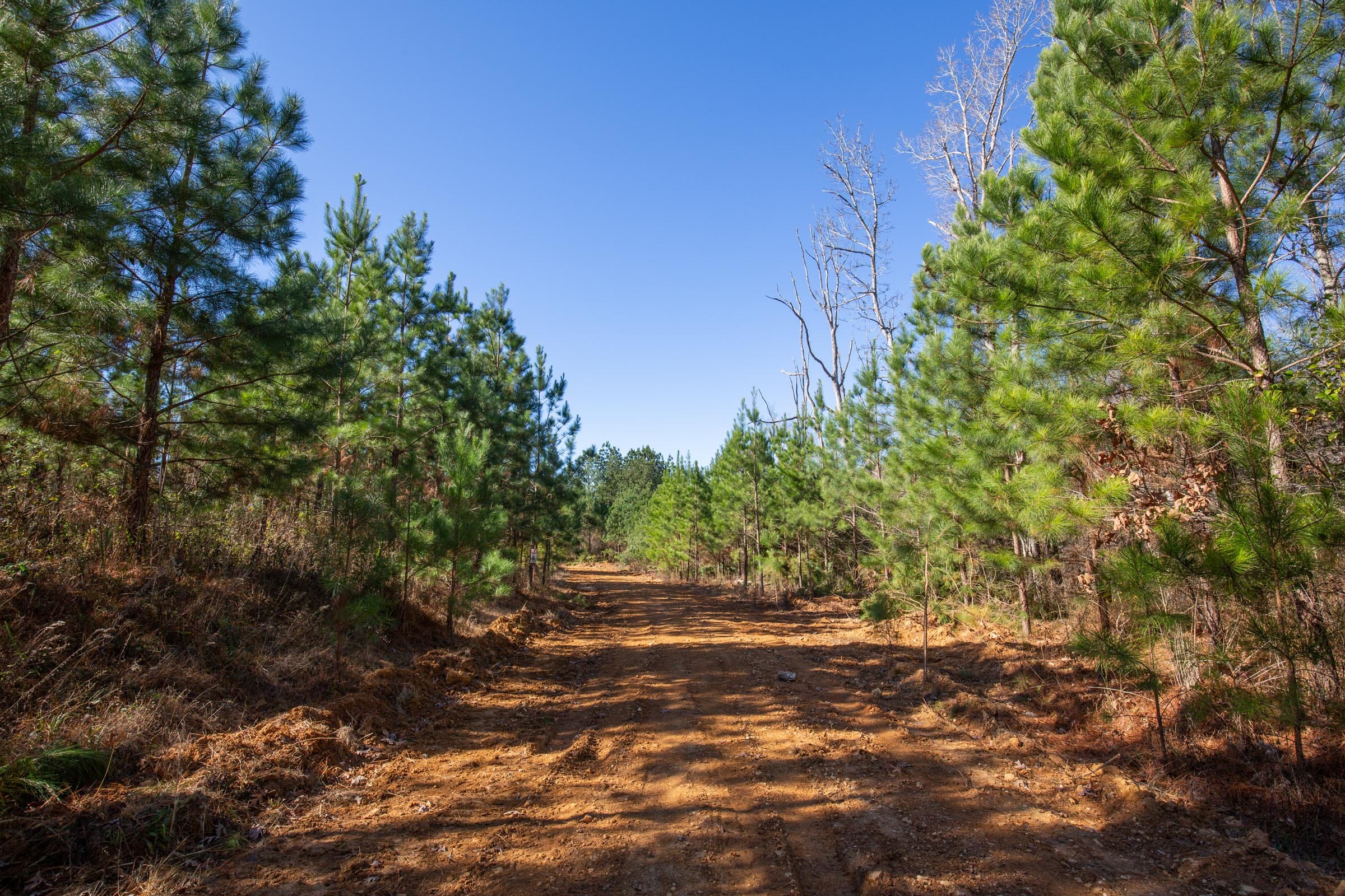 Pine Ridge Tract 4 photo 8