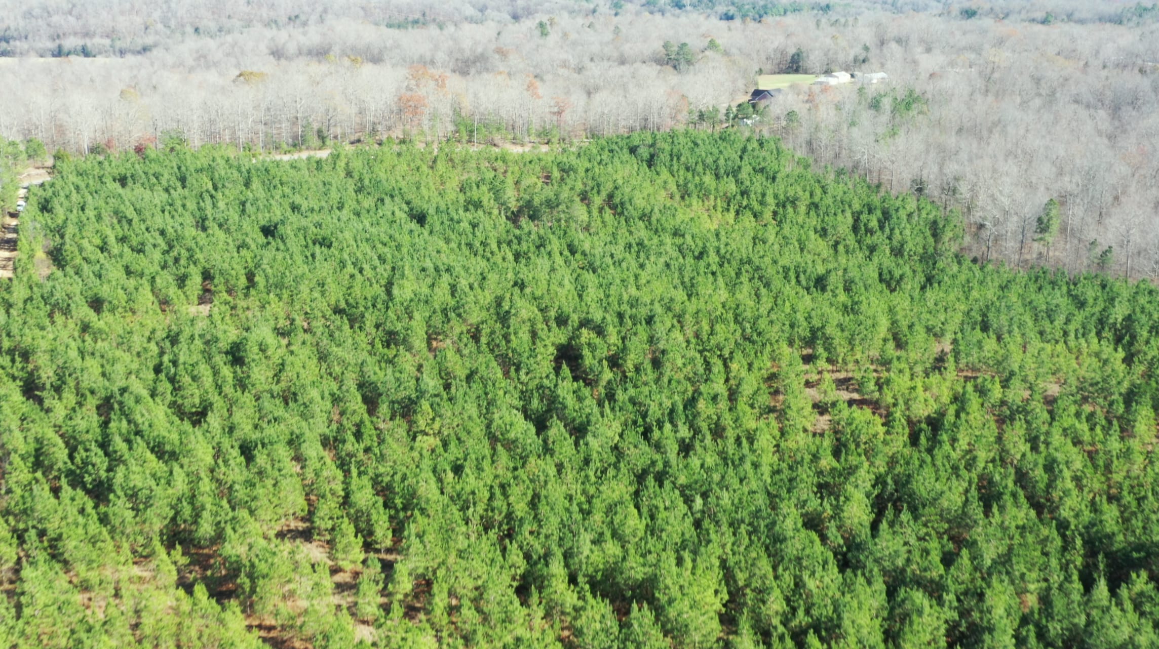 Pine Ridge Tract 4 photo 9