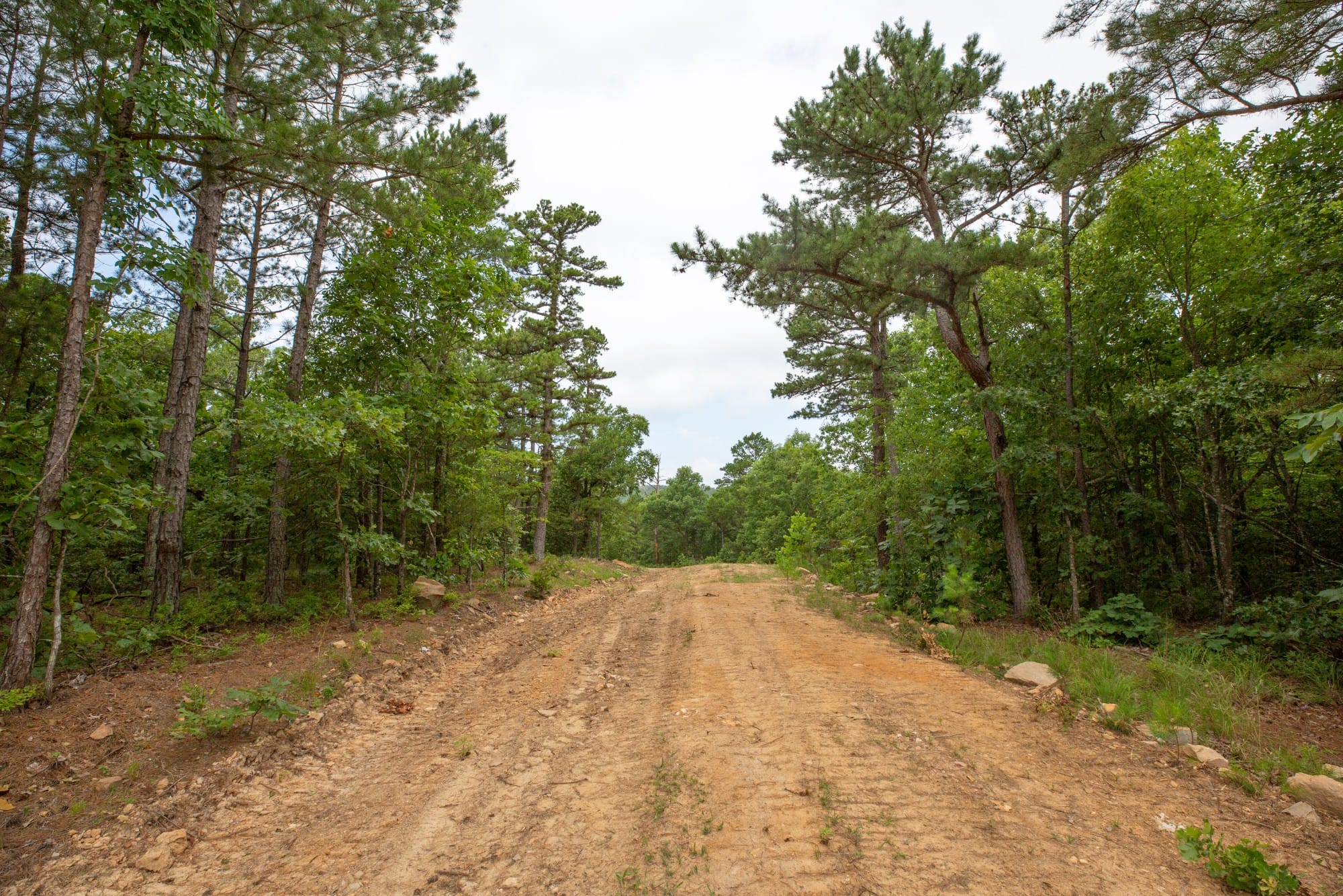 Eagle’s Nest Tract 38 photo 8