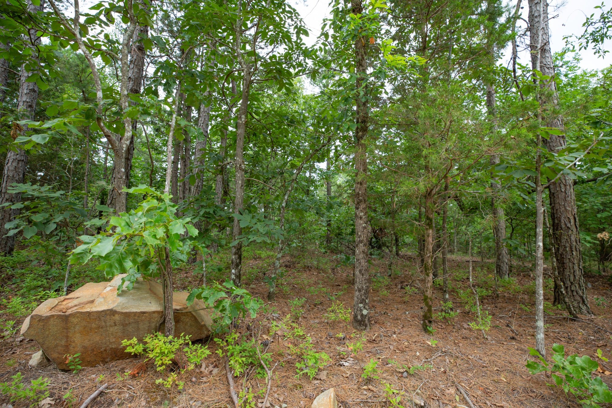 Eagle’s Nest Tract 38 photo 5