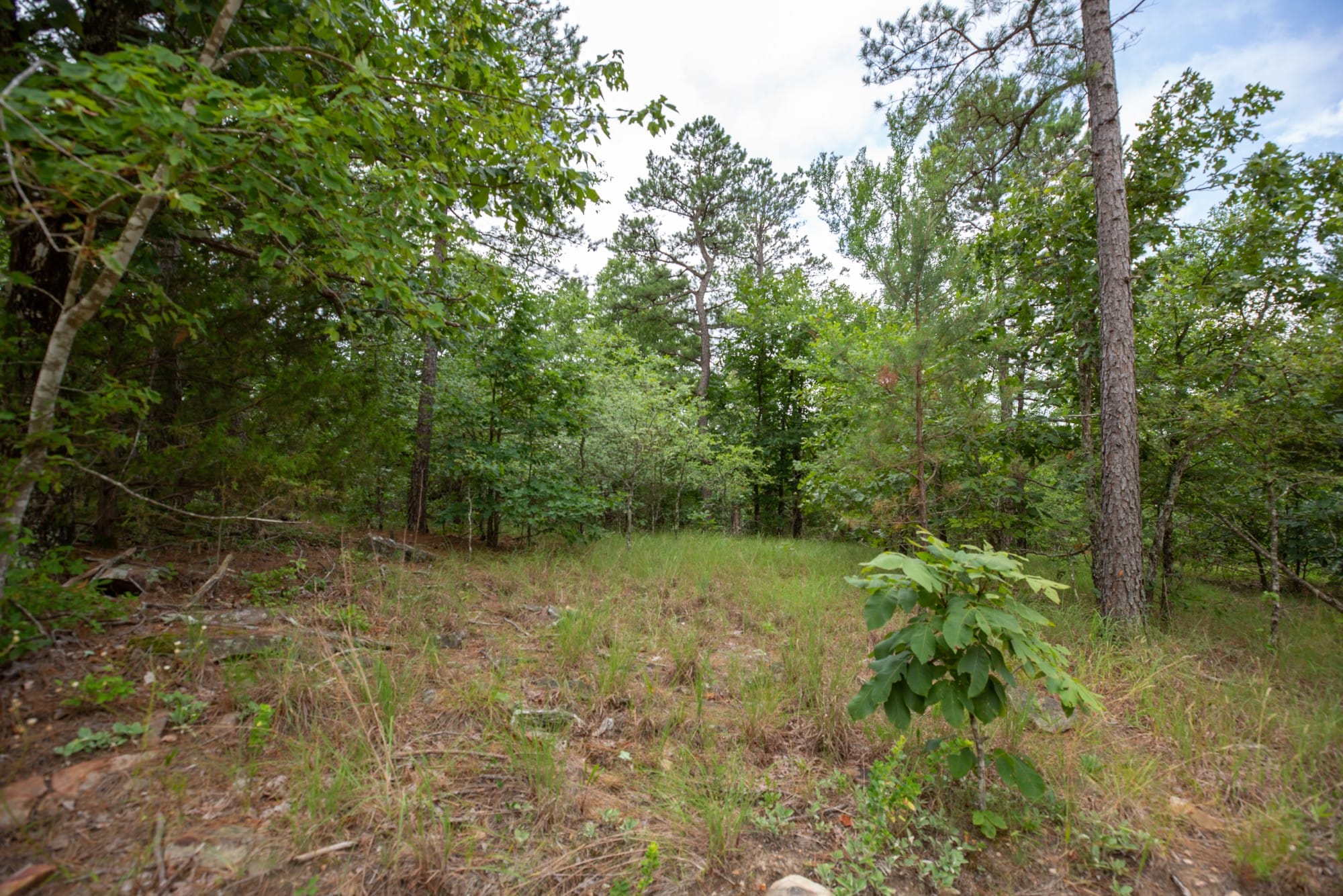 Eagle’s Nest Tract 38 photo 6