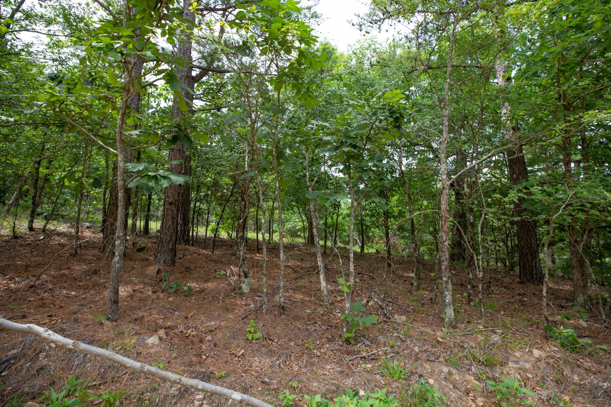 Eagle’s Nest Tract 38 photo 7