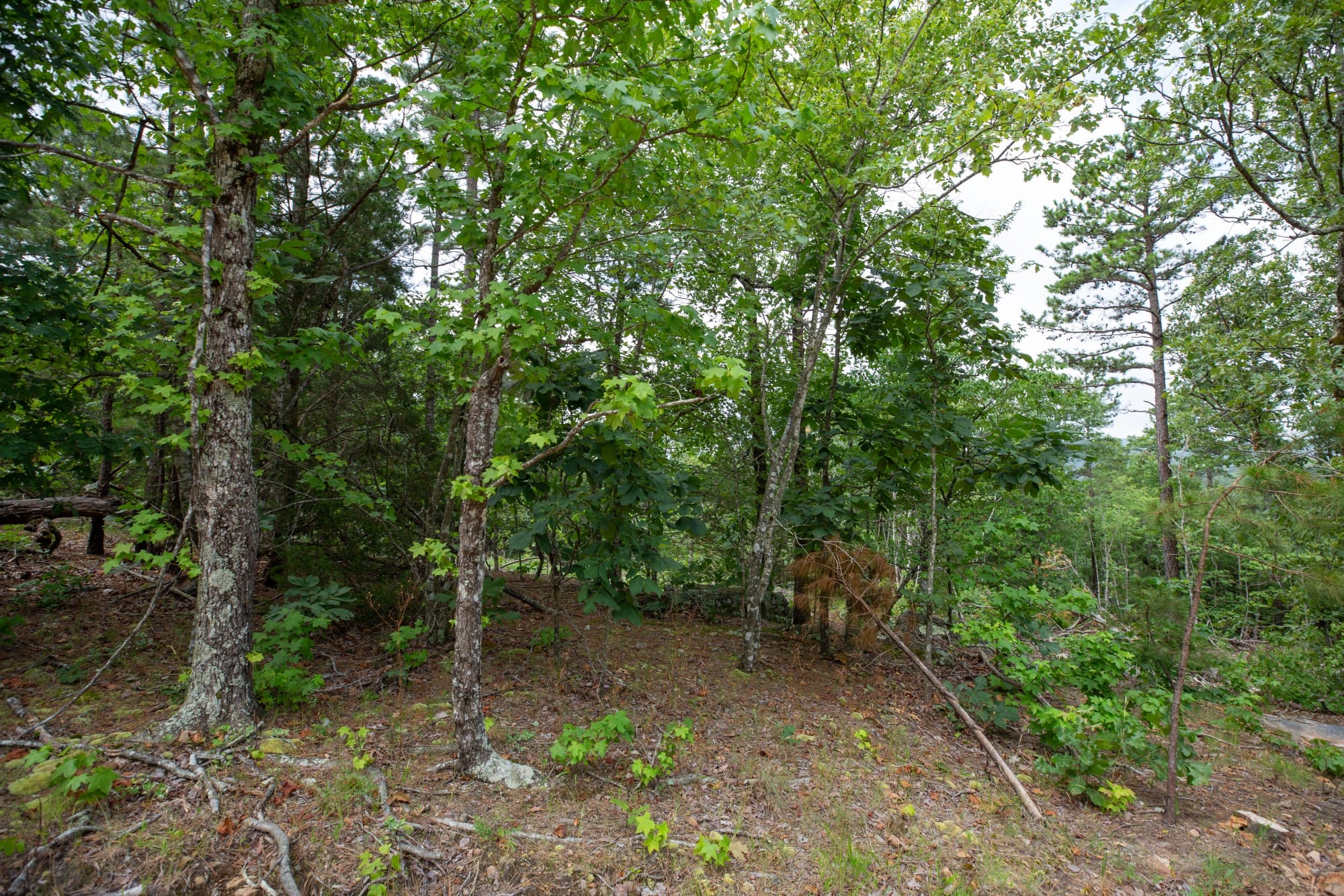 Eagle’s Nest Tract 38 photo 9