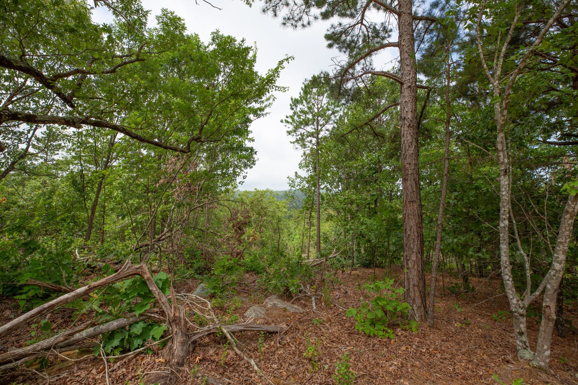 Eagle’s Nest Tract 38 photo 10