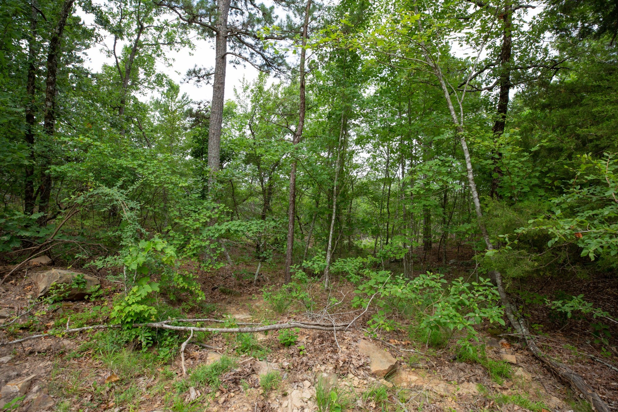 Eagle’s Nest Tract 38 photo 11