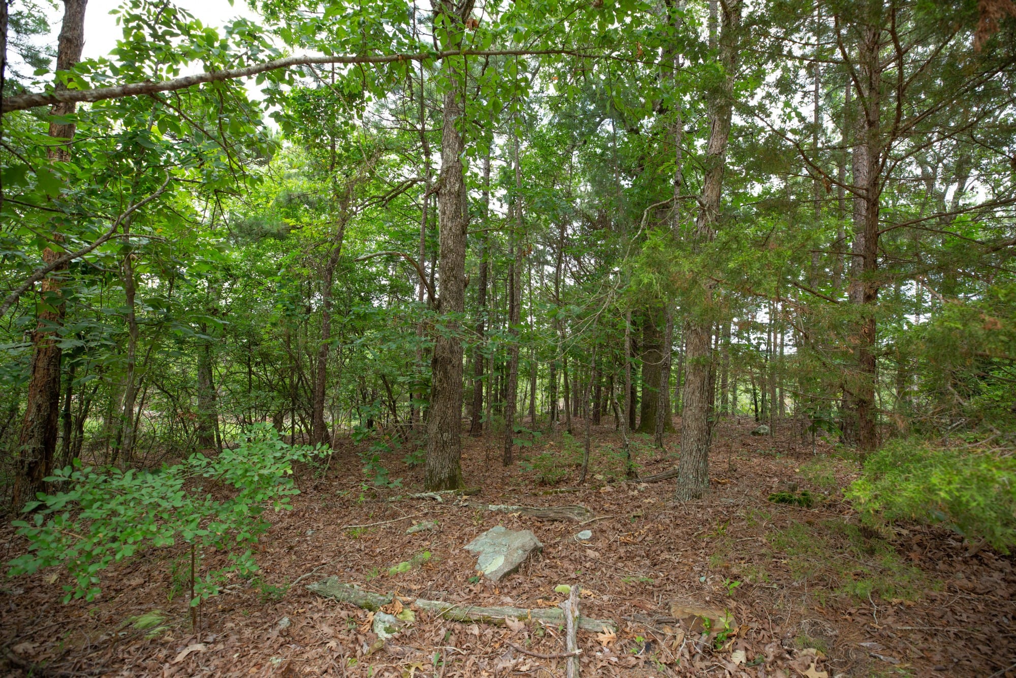 Eagle’s Nest Tract 38 photo 12