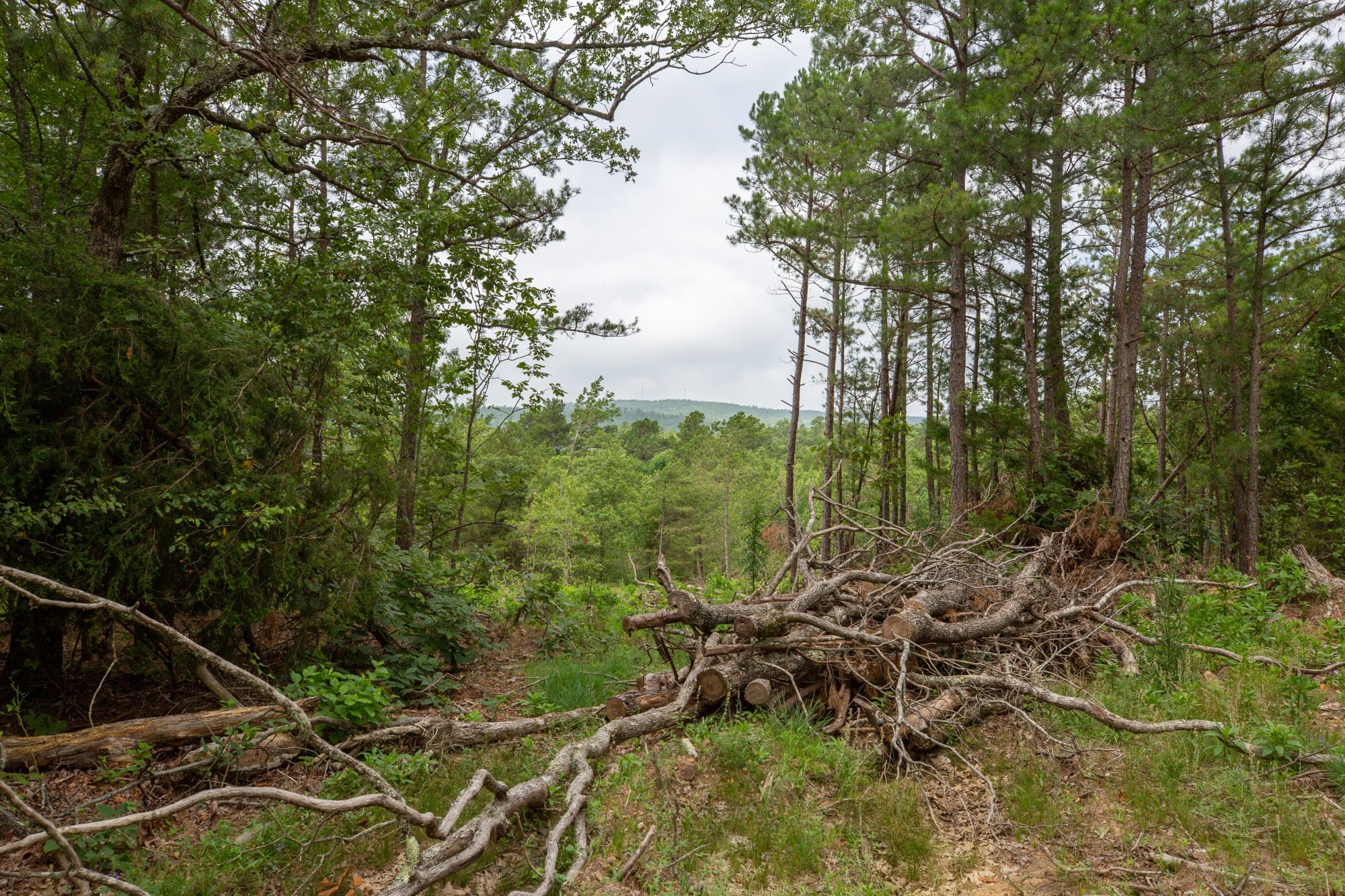 Eagle’s Nest Tract 38 photo 13