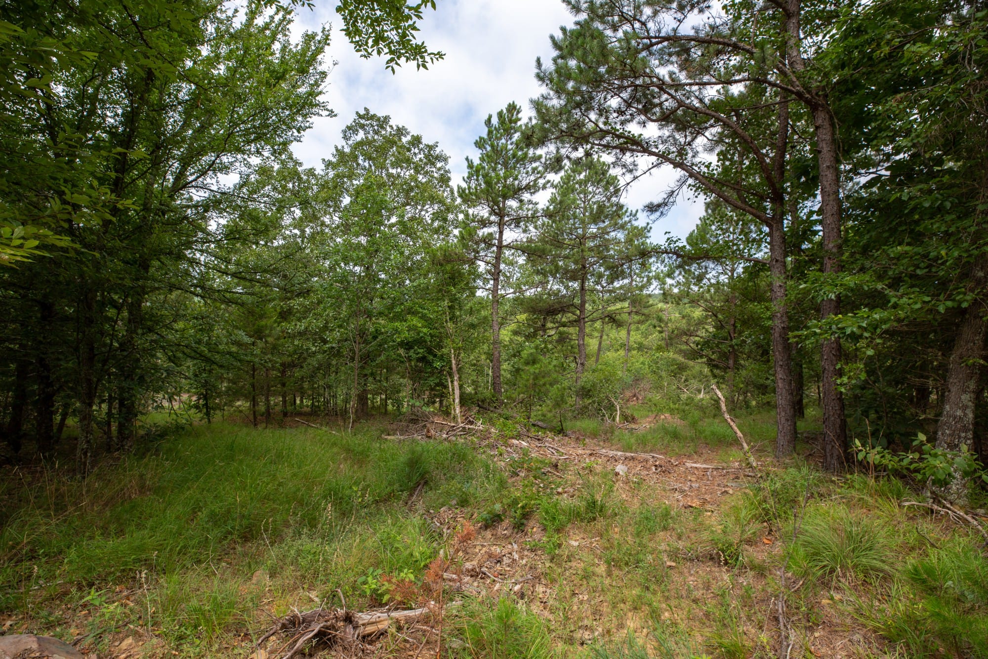 Eagle’s Nest Tract 38 photo 14
