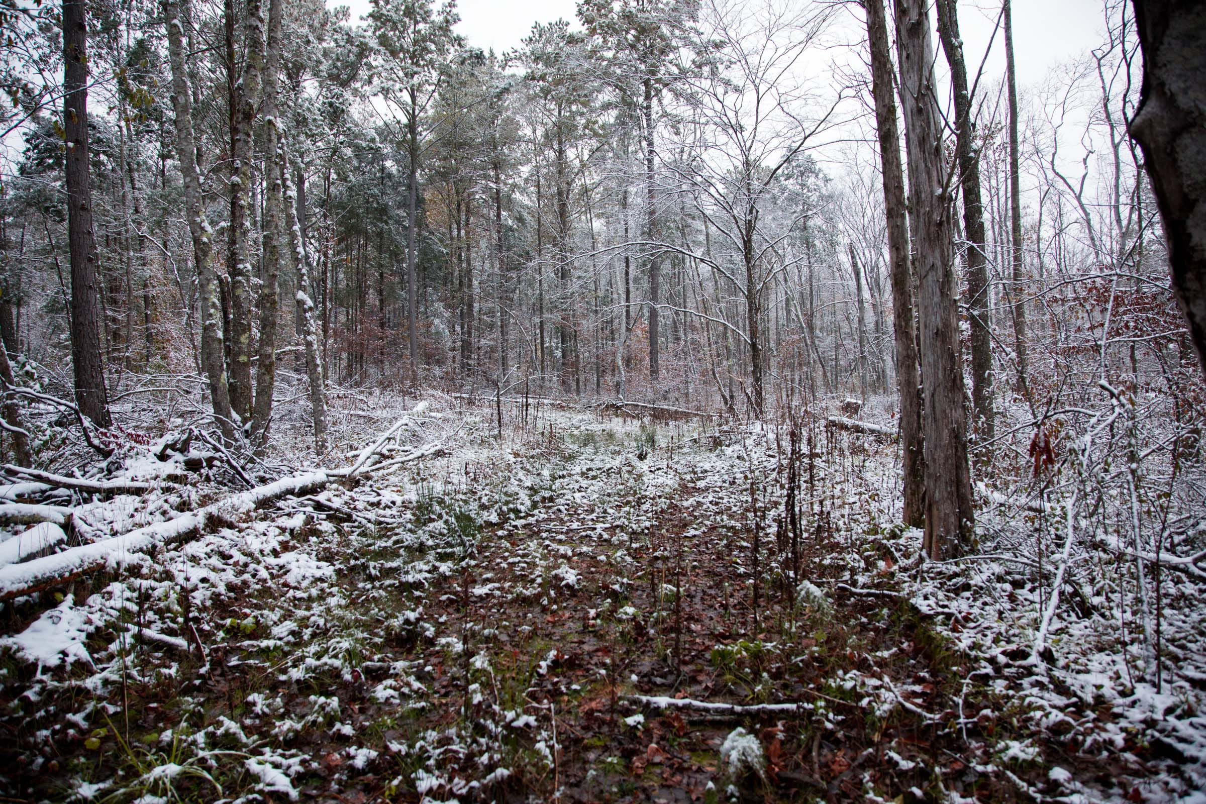 Sweet Water Ranch Tract 25 photo 1