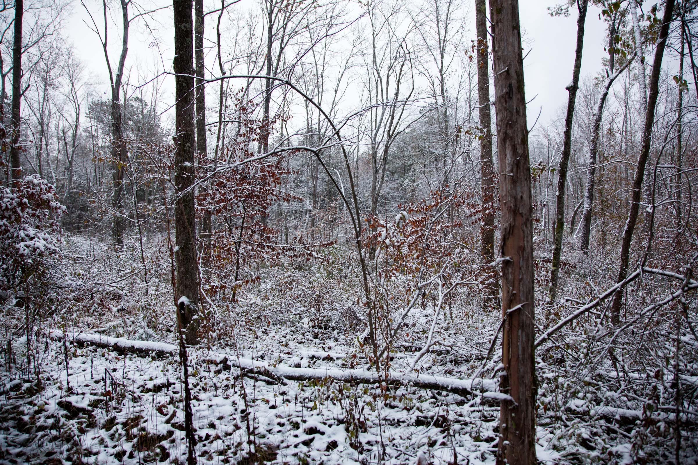 Sweet Water Ranch Tract 25 photo 2