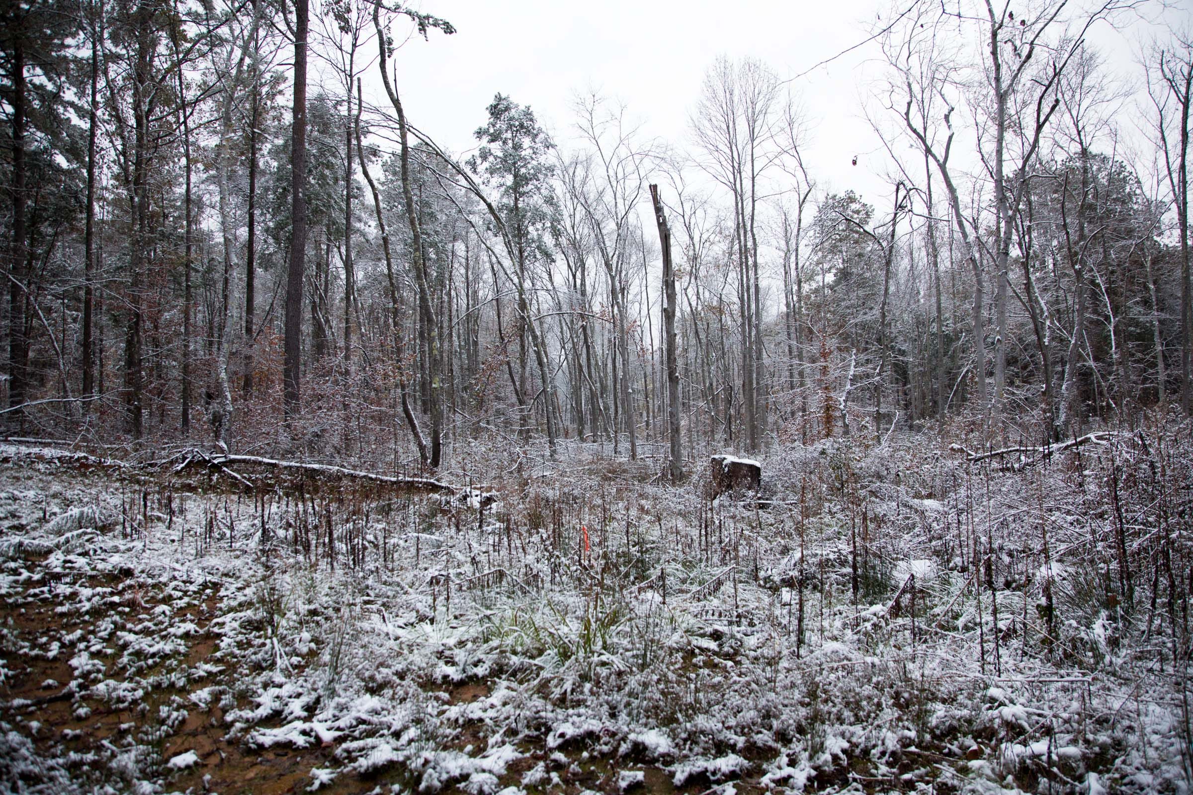 Sweet Water Ranch Tract 25 photo 3