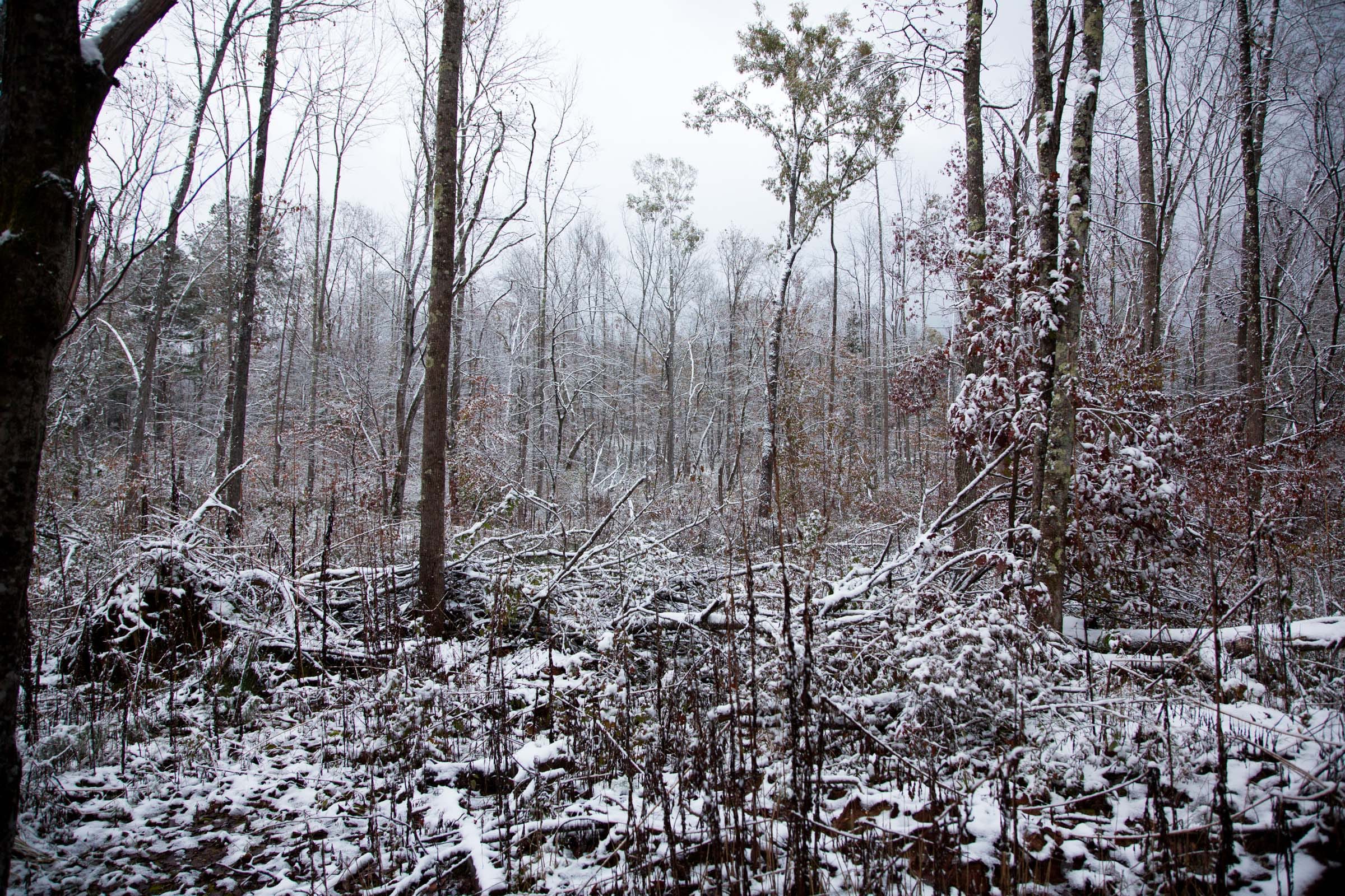 Sweet Water Ranch Tract 25 photo 4