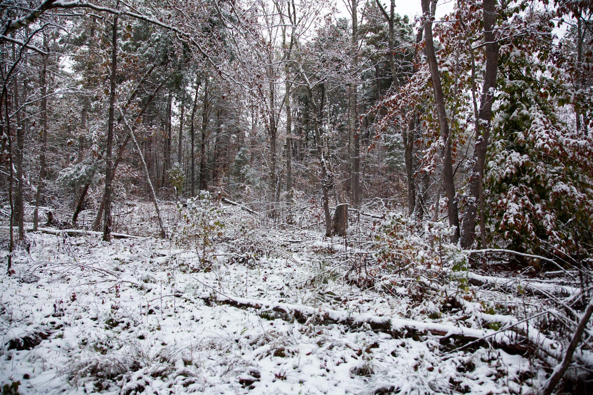 Sweet Water Ranch Tract 25 photo 8