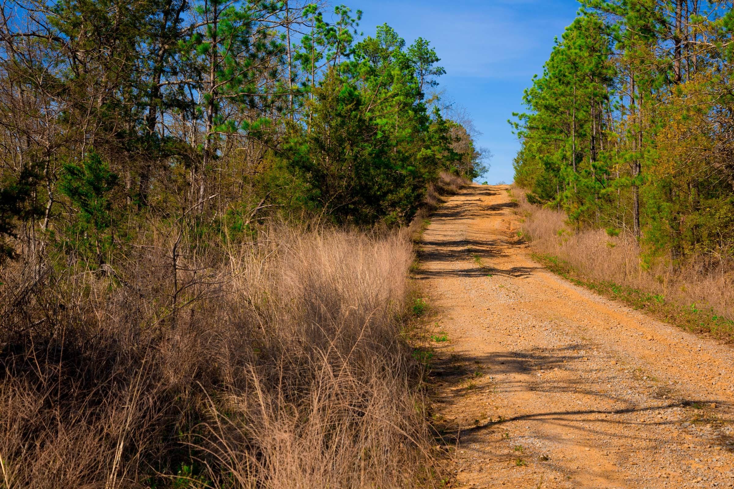 Stone Creek Phase II Tract 227 photo 2