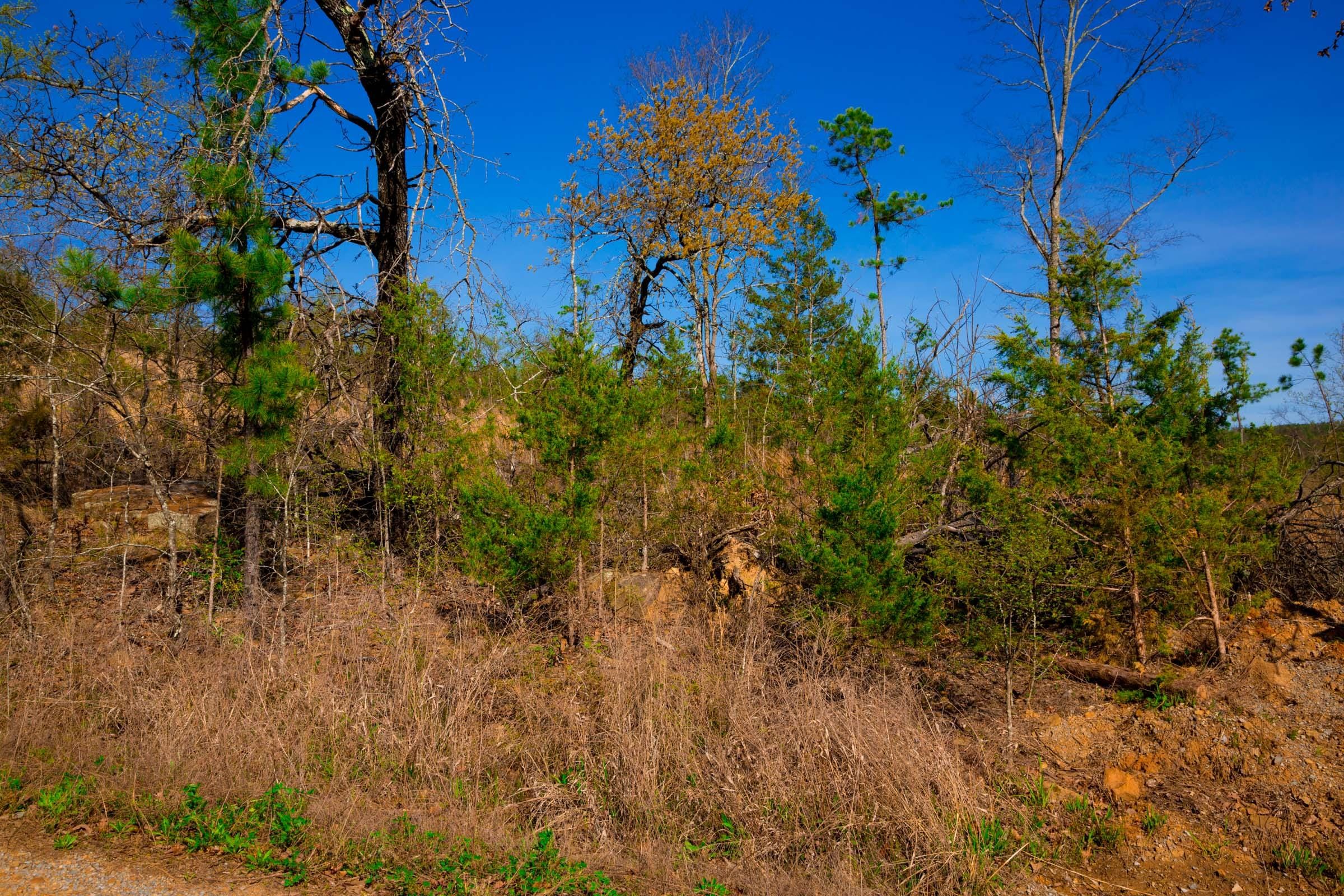 Stone Creek Phase II Tract 227 photo 3