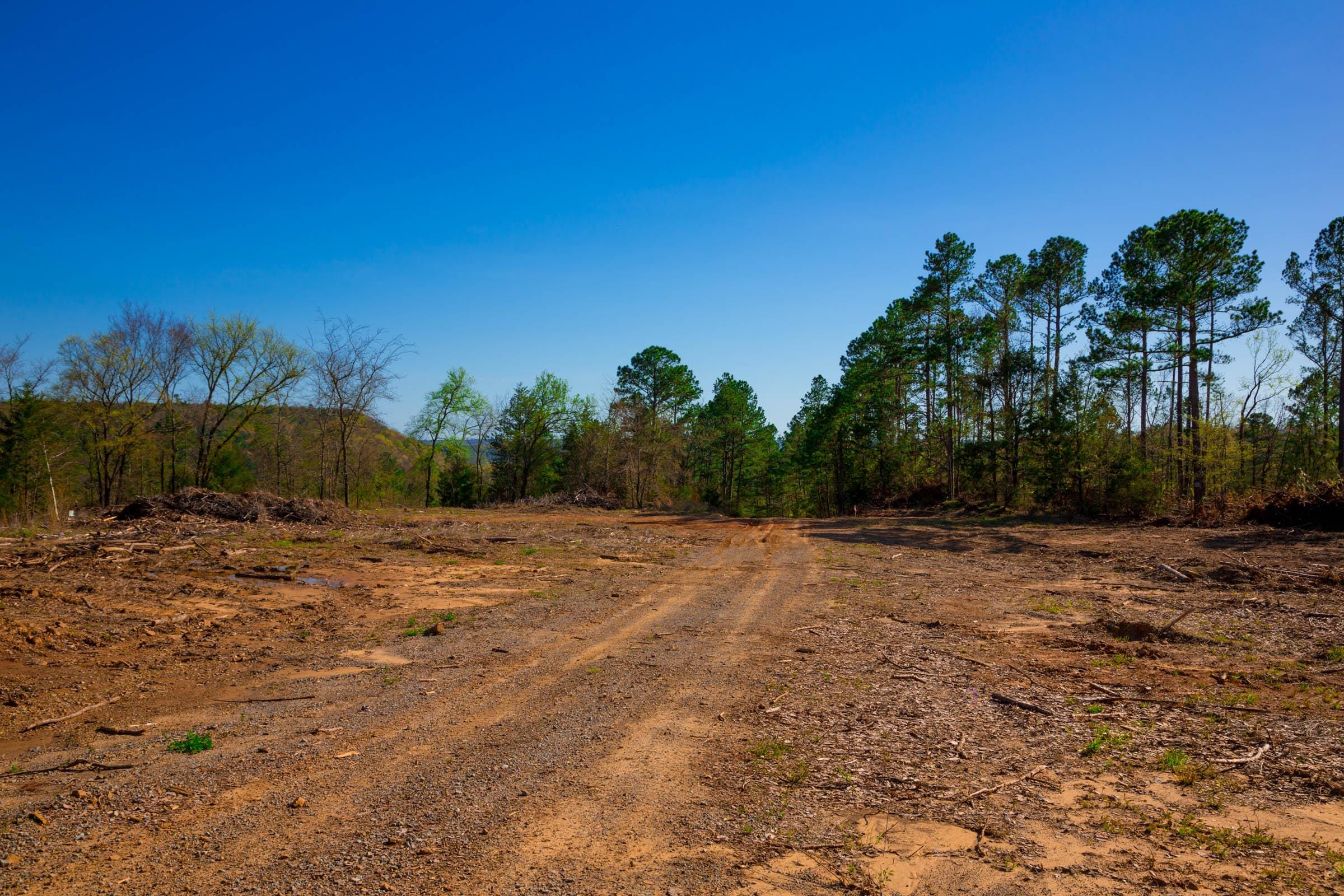 Stone Creek Phase II Tract 227 photo 4