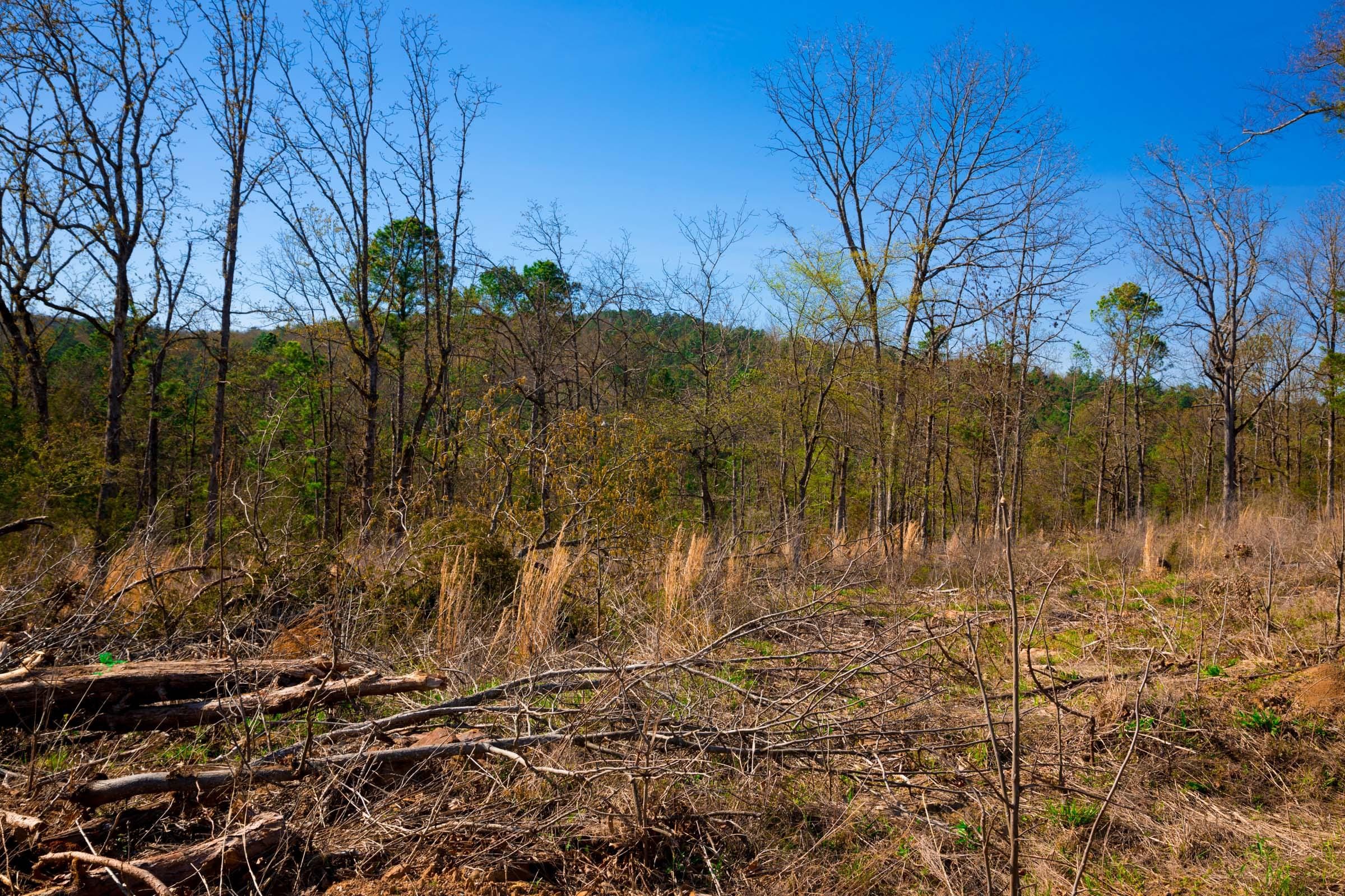 Stone Creek Phase II Tract 227 photo 5