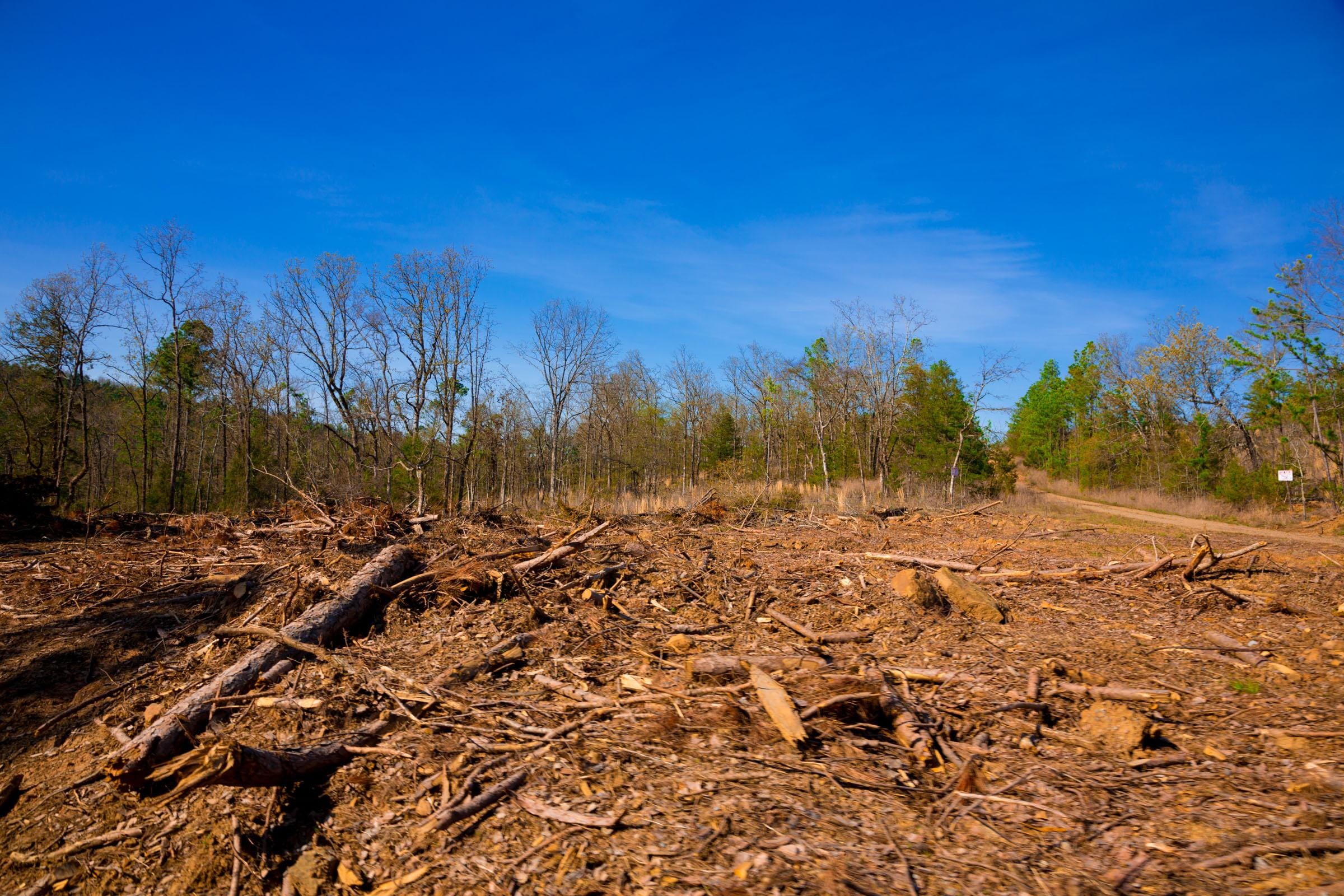 Stone Creek Phase II Tract 227 photo 6