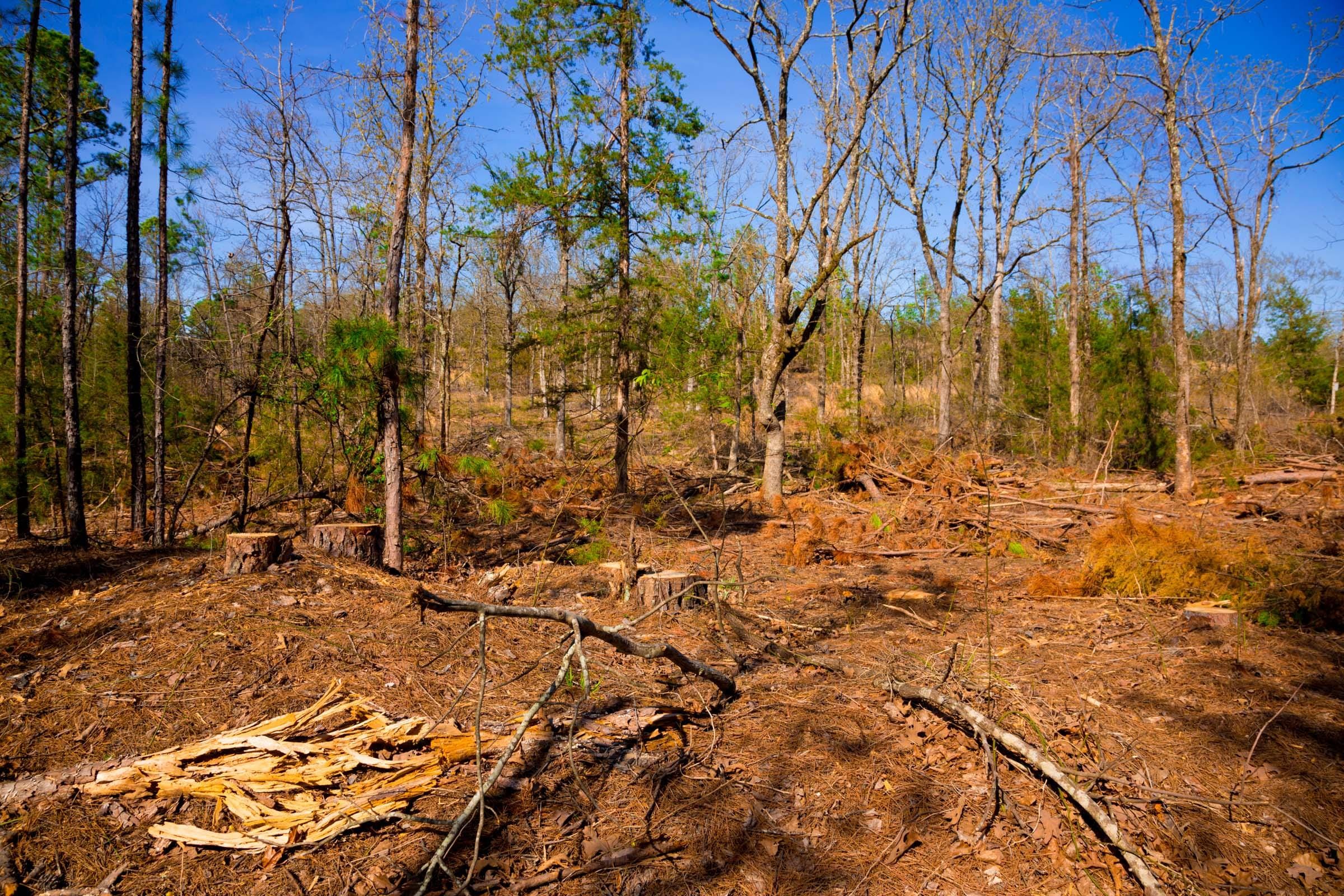 Stone Creek Phase II Tract 227 photo 7