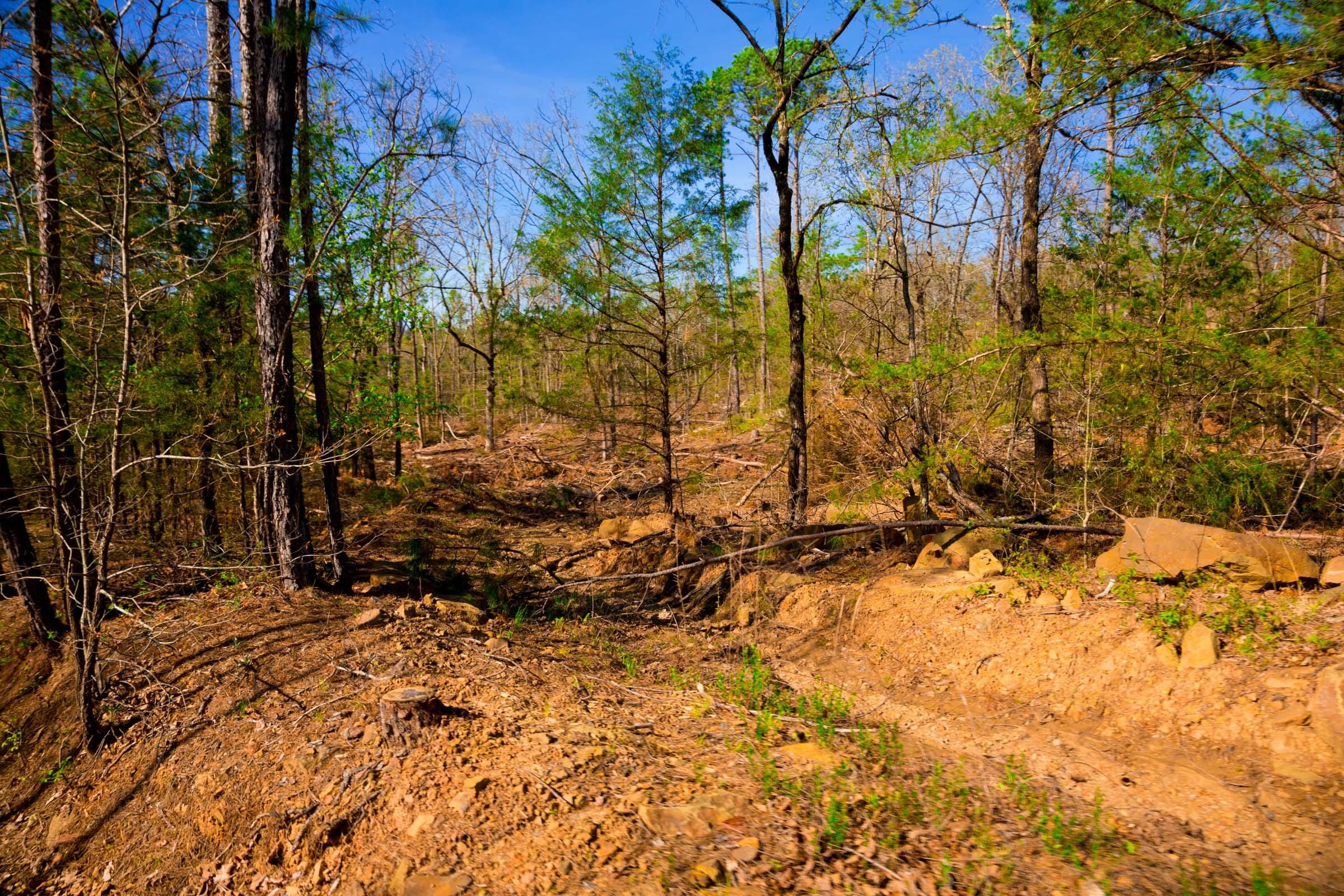 Stone Creek Phase II Tract 227 photo 8