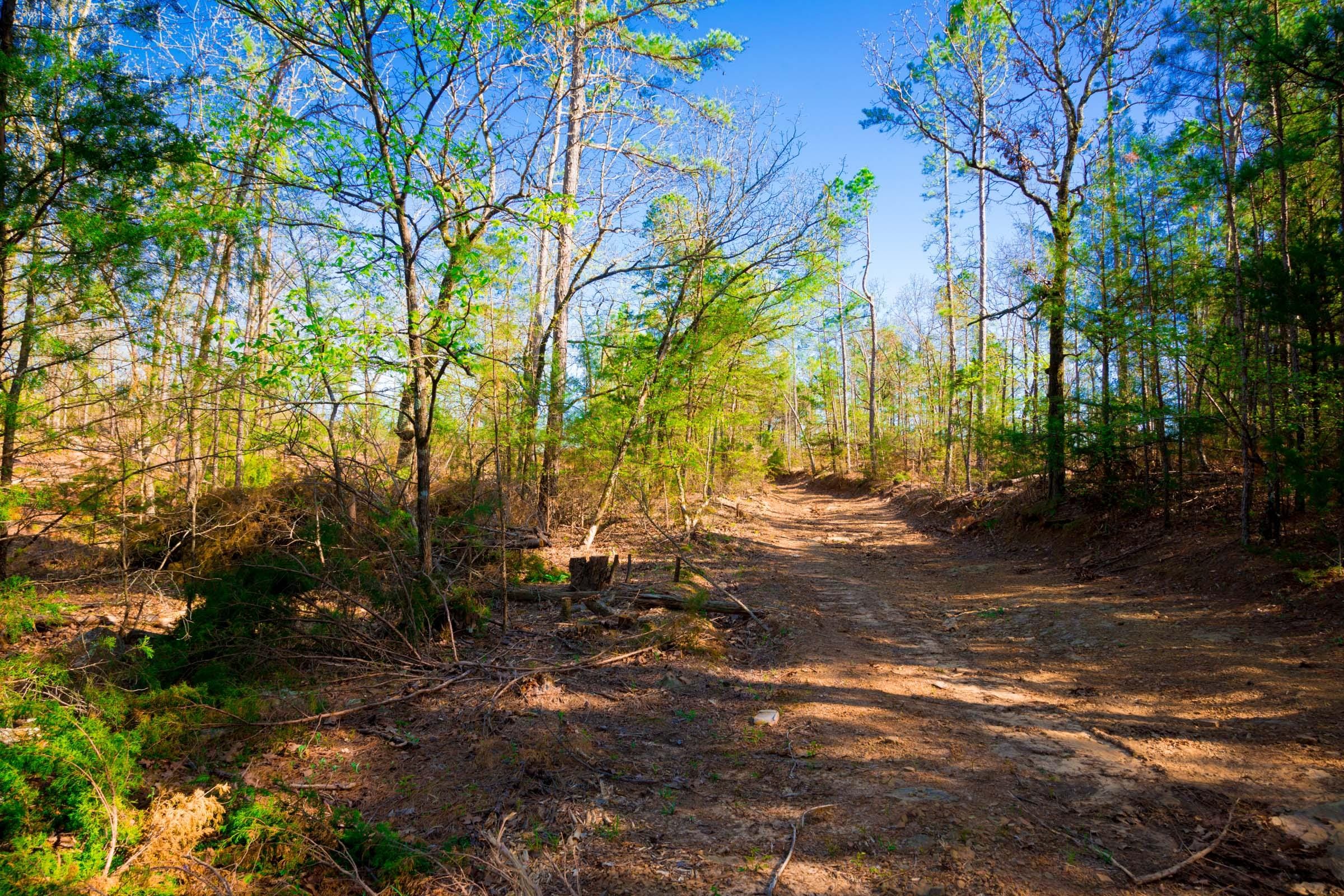 Stone Creek Phase II Tract 227 photo 9