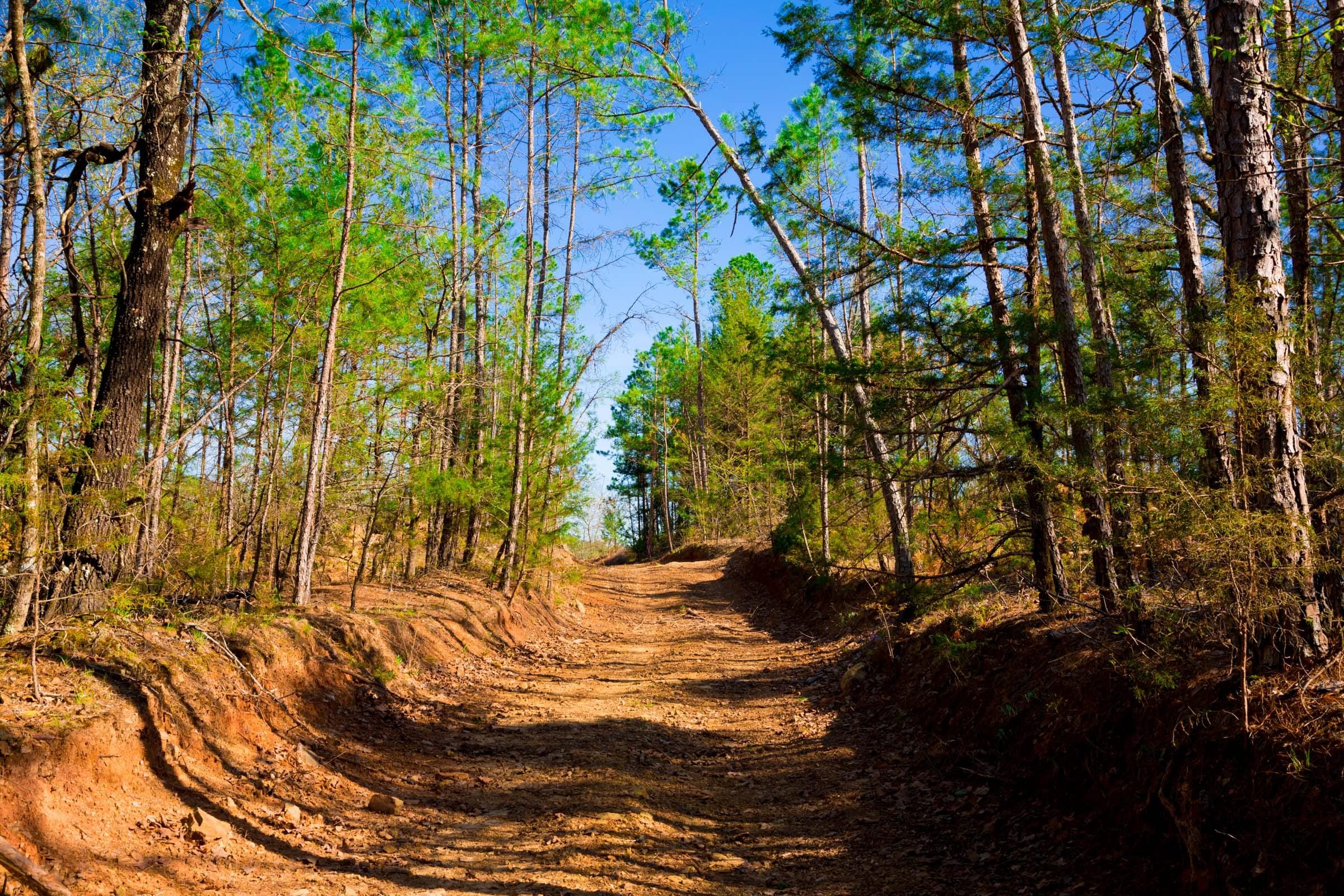 Stone Creek Phase II Tract 227 photo 11