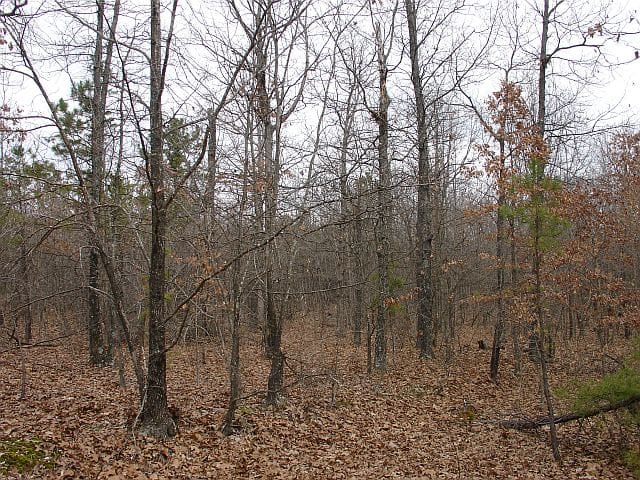 Barnes Hollow Tract 5 photo 5