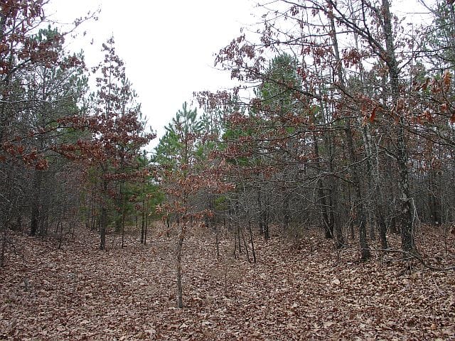 Barnes Hollow Tract 5 photo 6