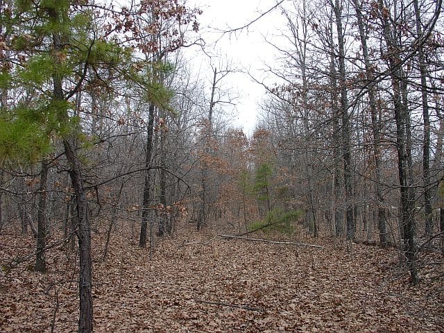 Barnes Hollow Tract 5 photo 7