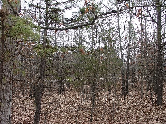 Barnes Hollow Tract 5 photo 8