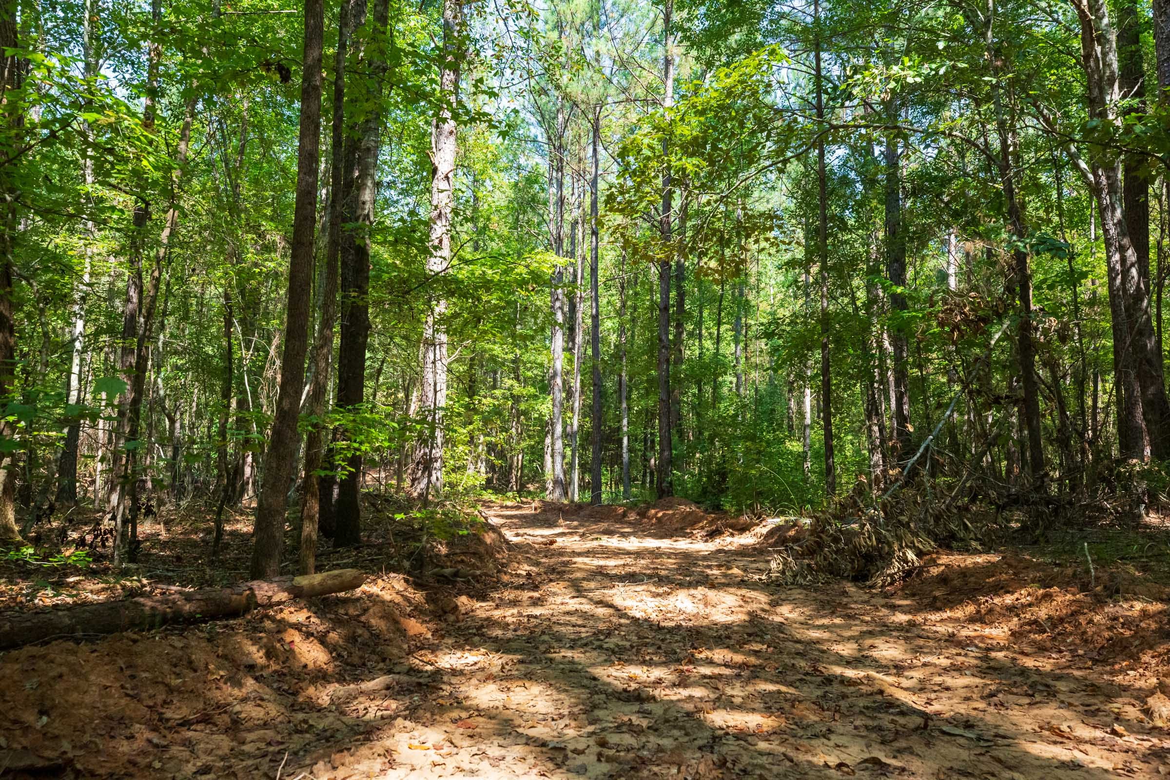Willow Grove Tract 13 photo 1