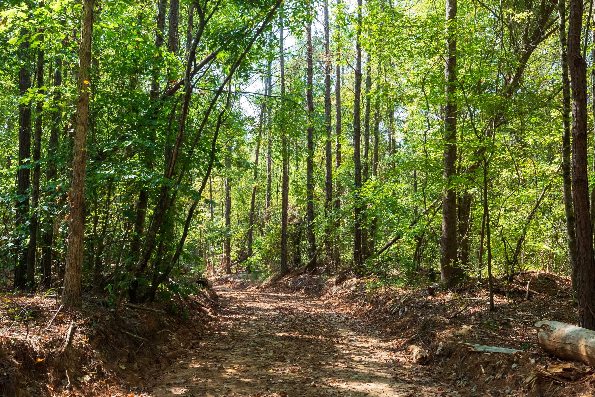 Willow Grove Tract 13 photo 4